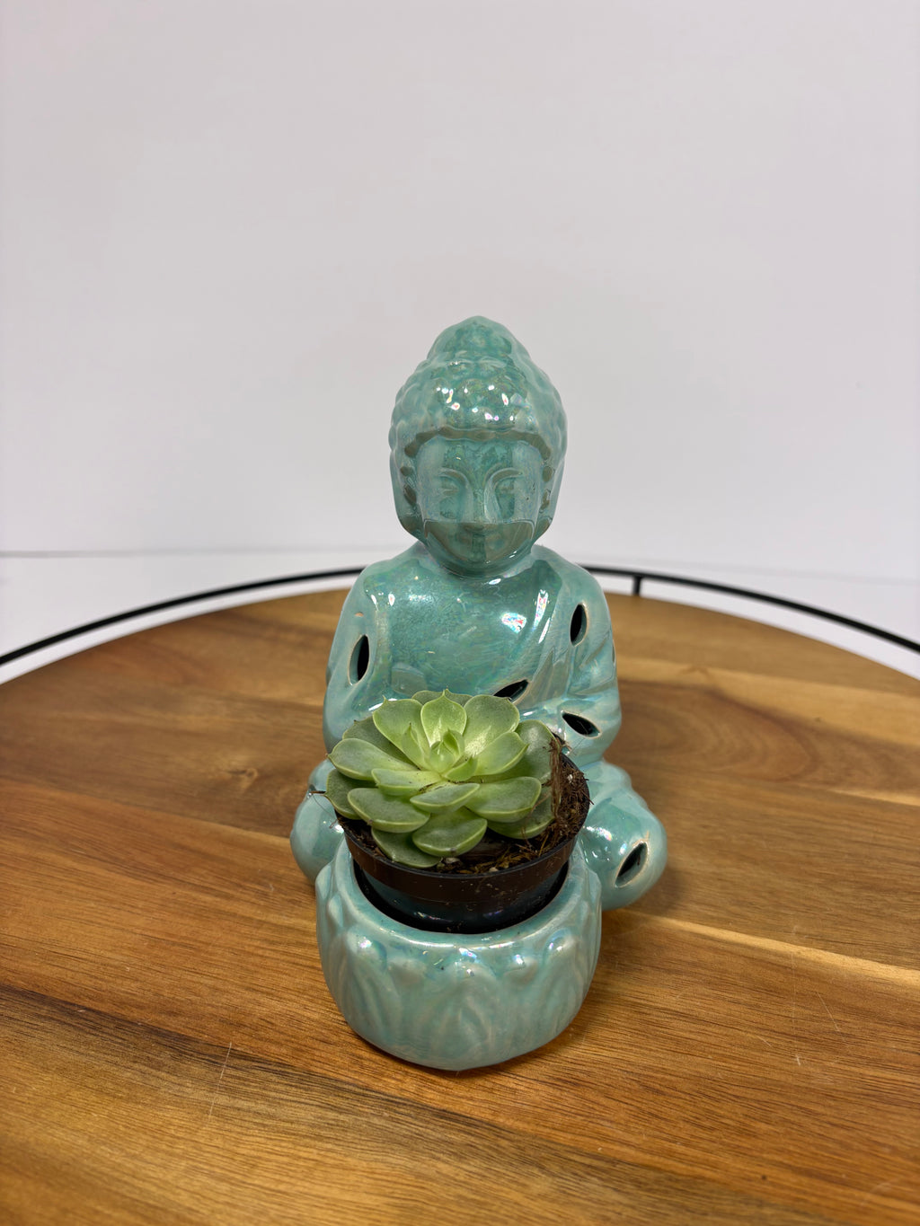 🌿Buddha Statues with Live Succulent🌿
