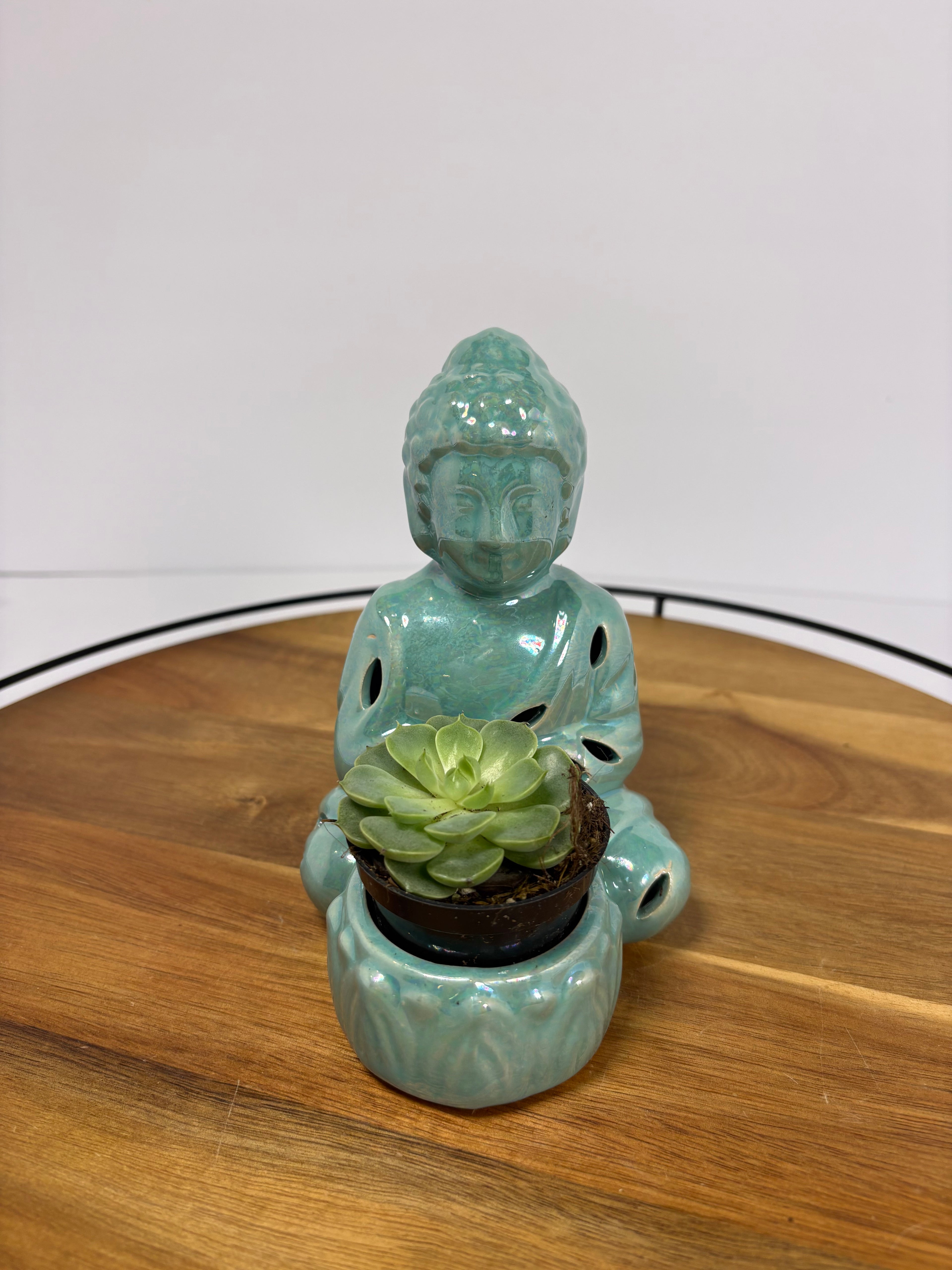🌿Buddha Statues with Live Succulent🌿