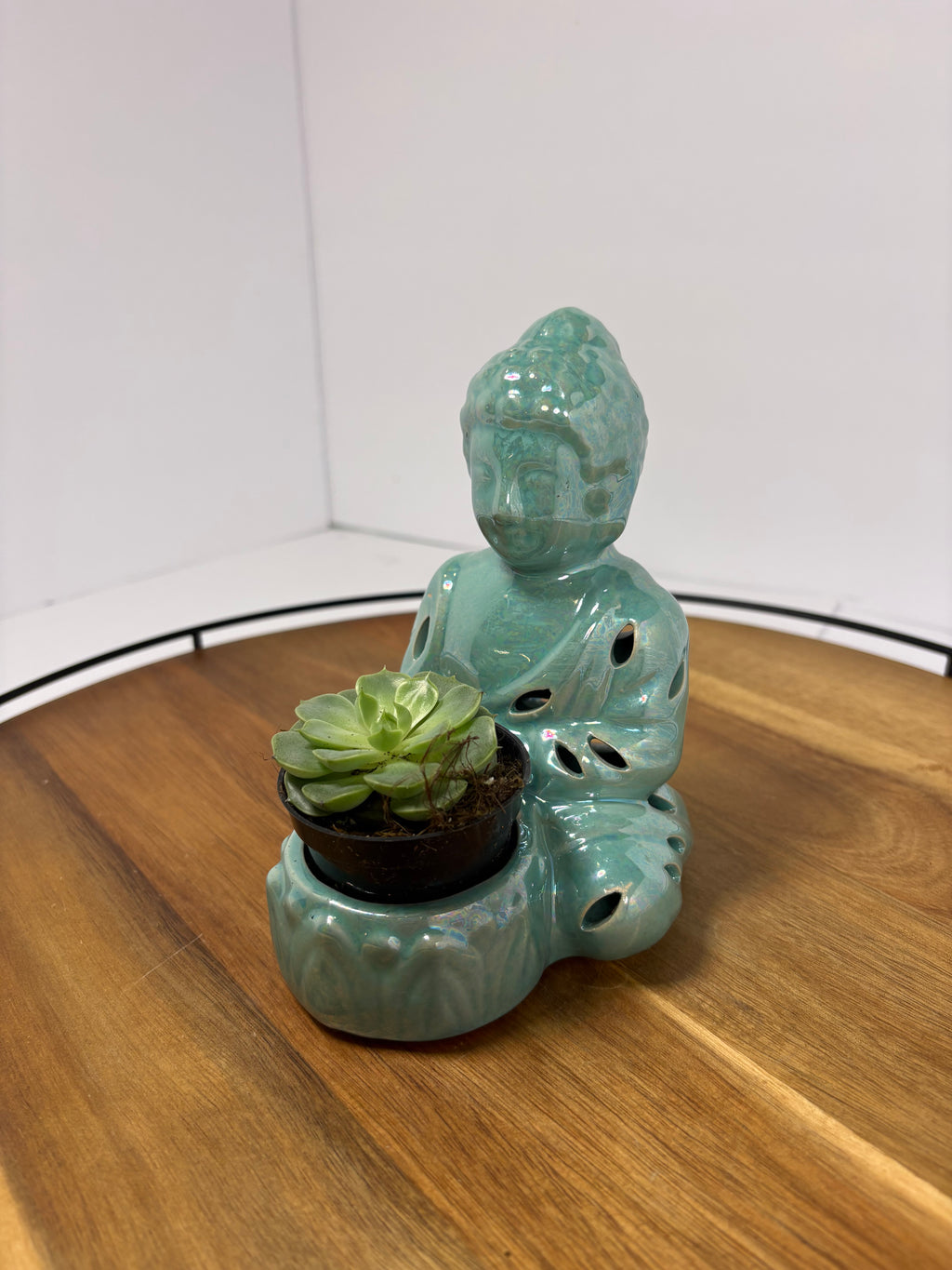 🌿Buddha Statues with Live Succulent🌿