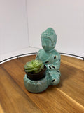 🌿Buddha Statues with Live Succulent🌿