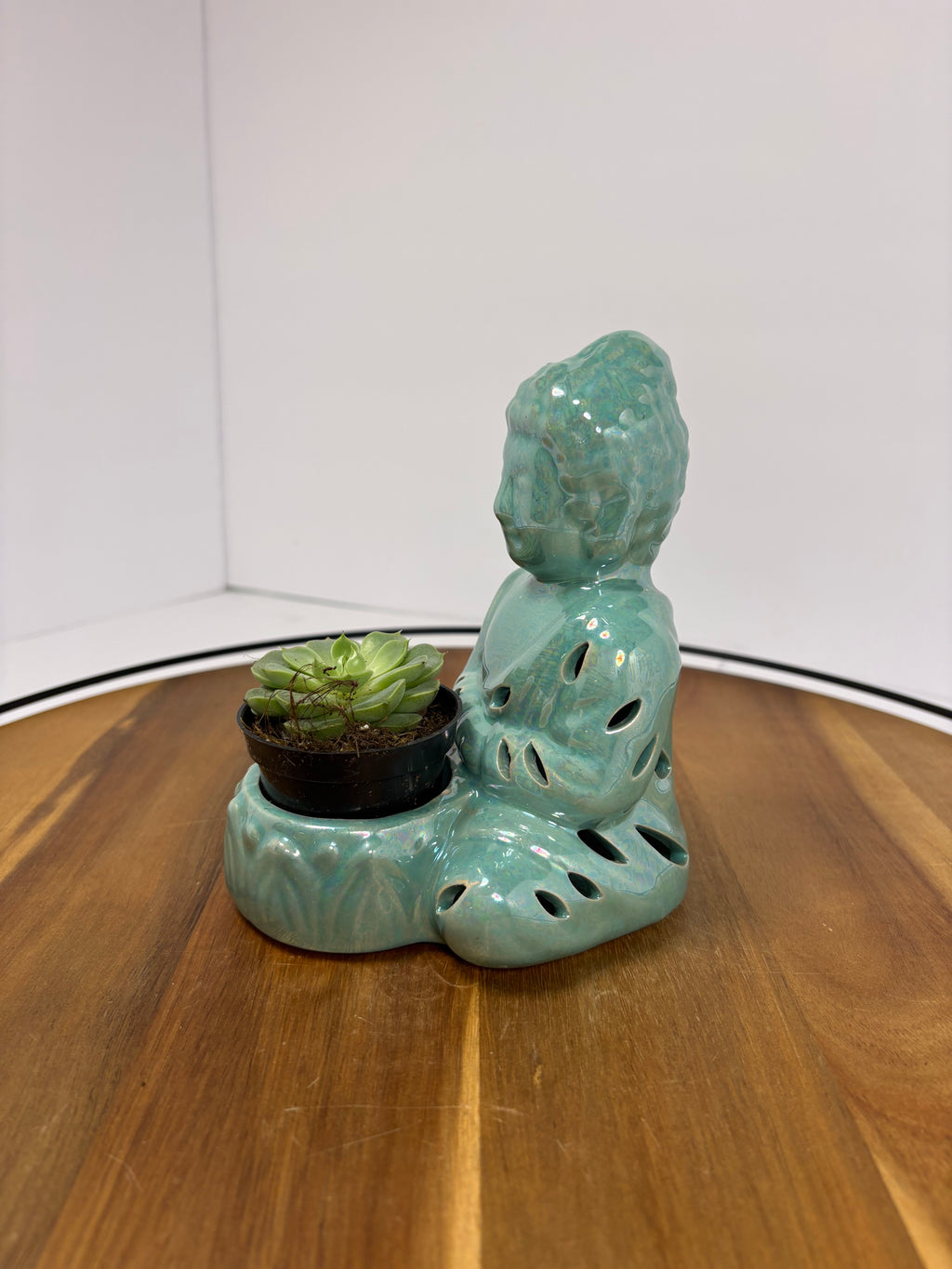 🌿Buddha Statues with Live Succulent🌿