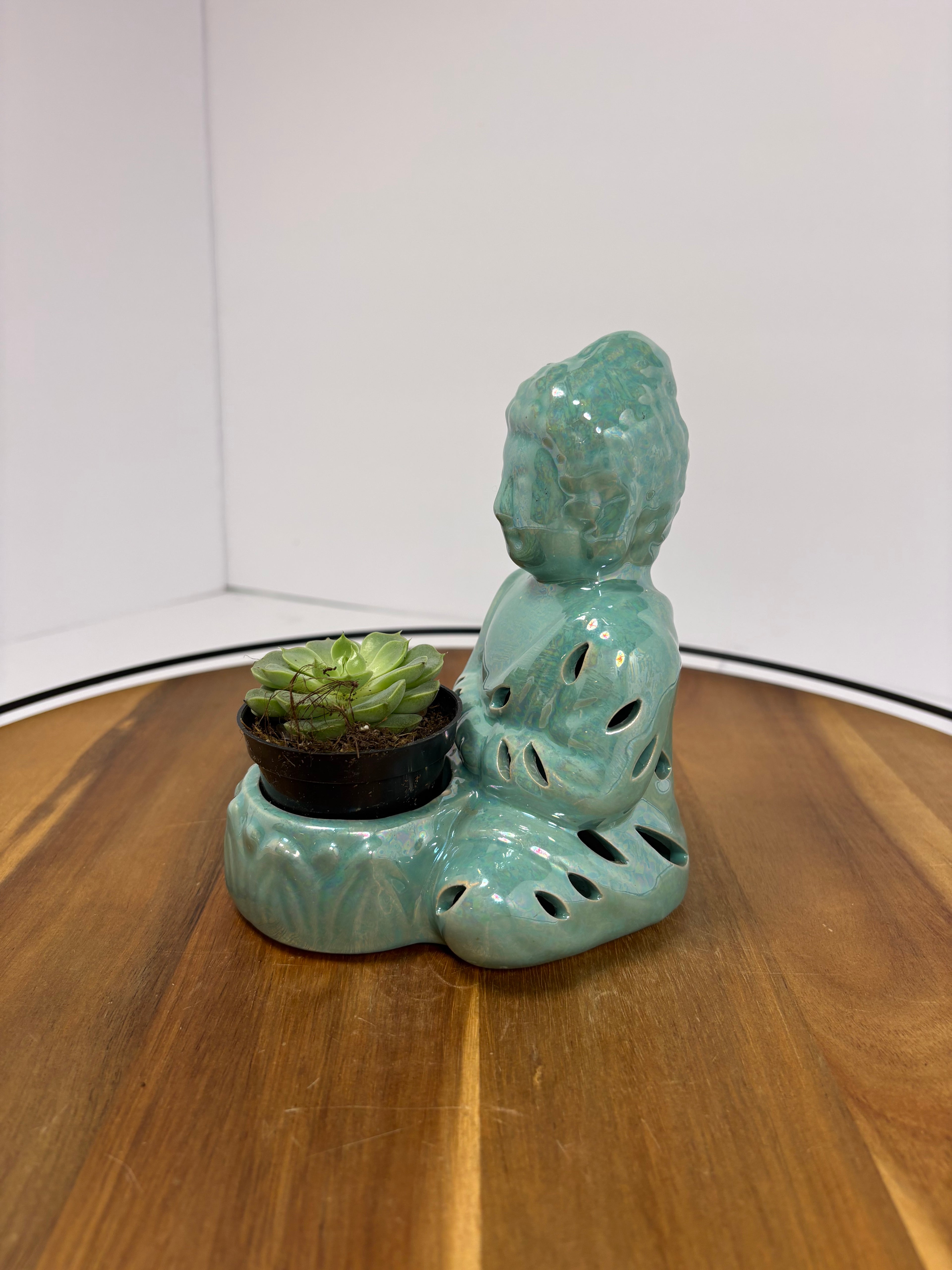 🌿Buddha Statues with Live Succulent🌿