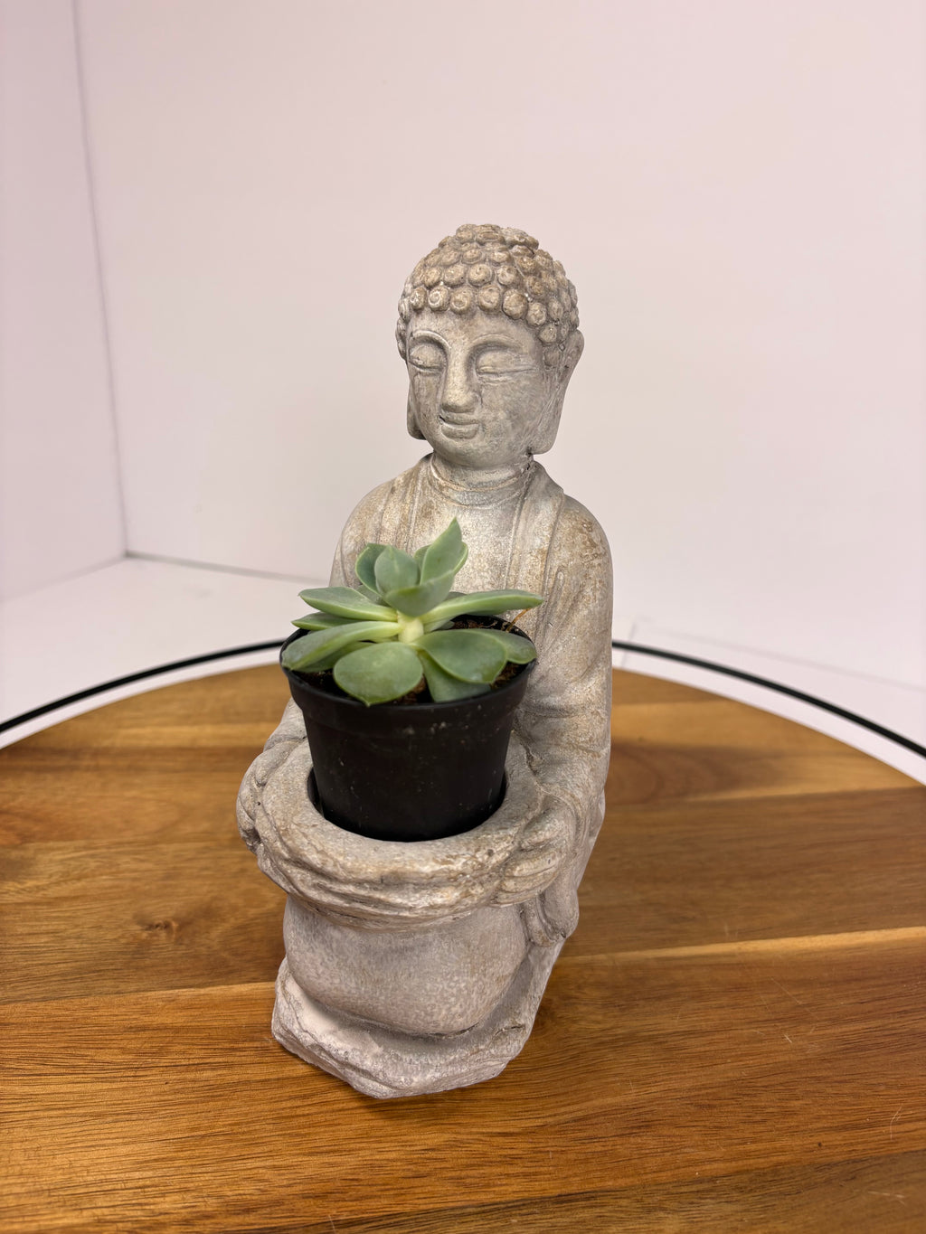 🌿Buddha Statues with Live Succulent🌿
