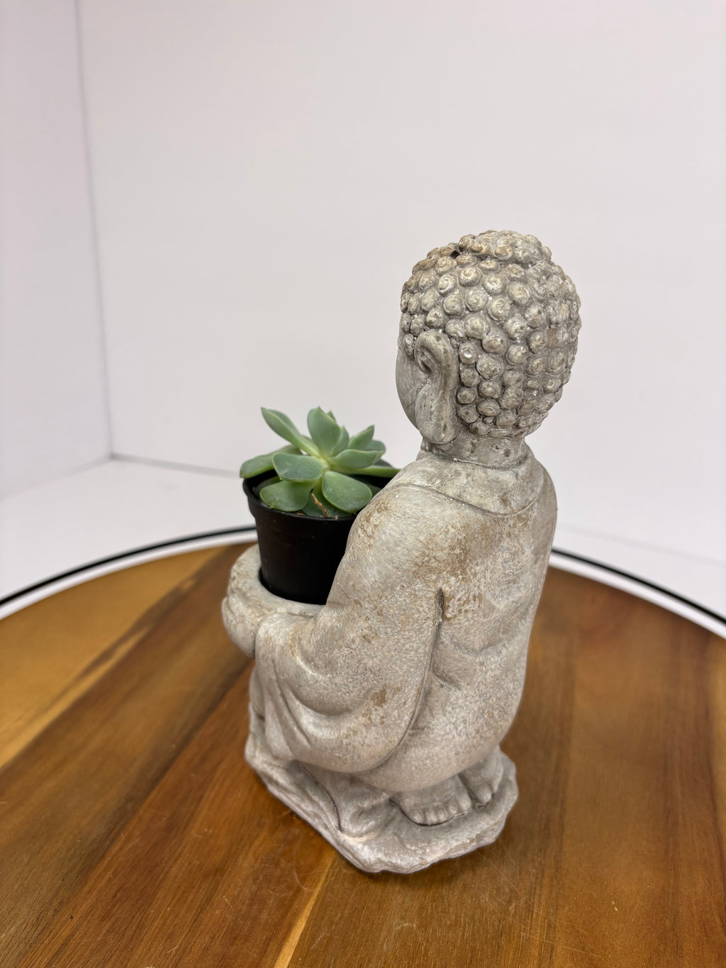 🌿Buddha Statues with Live Succulent🌿