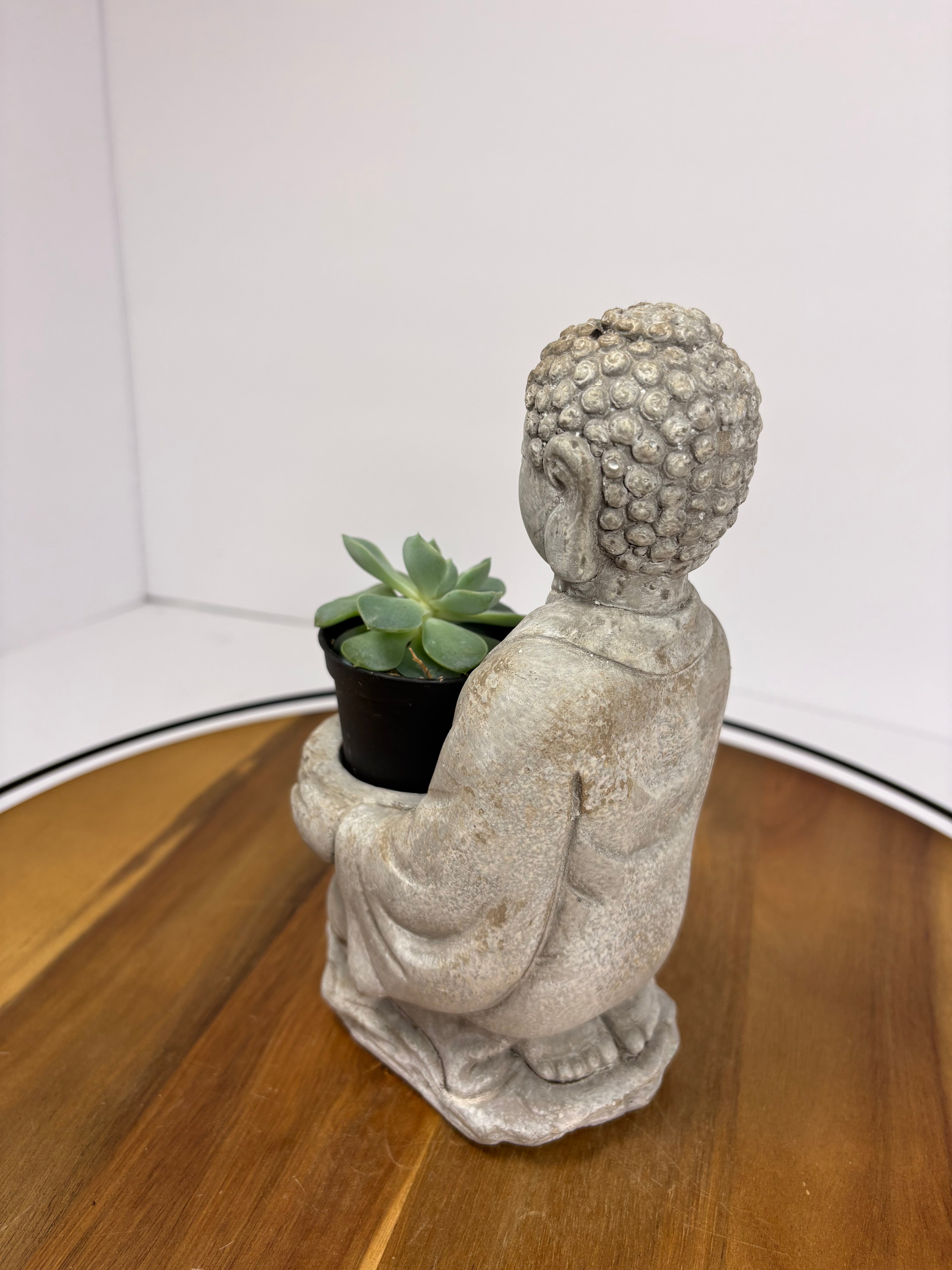 🌿Buddha Statues with Live Succulent🌿