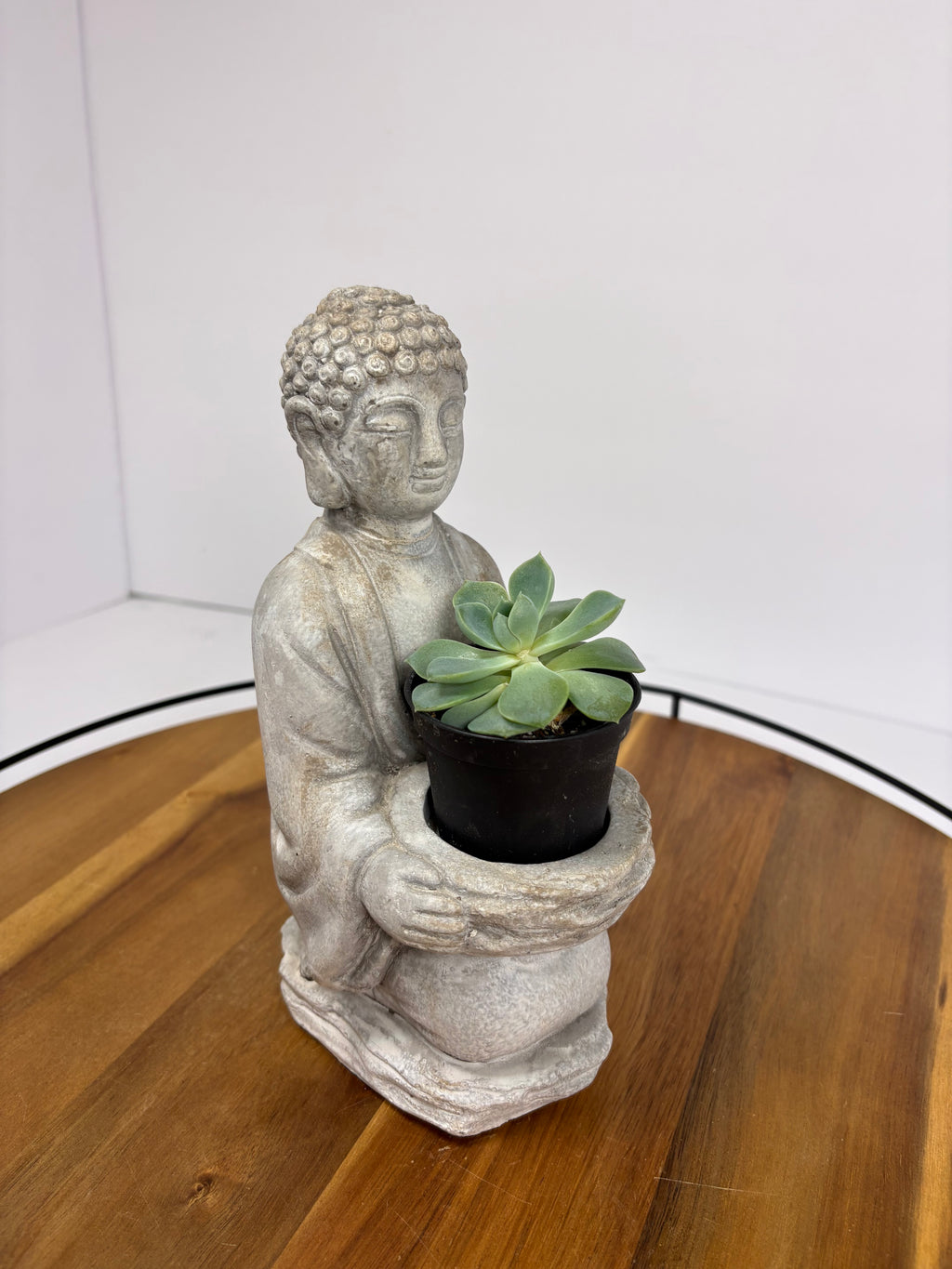 🌿Buddha Statues with Live Succulent🌿