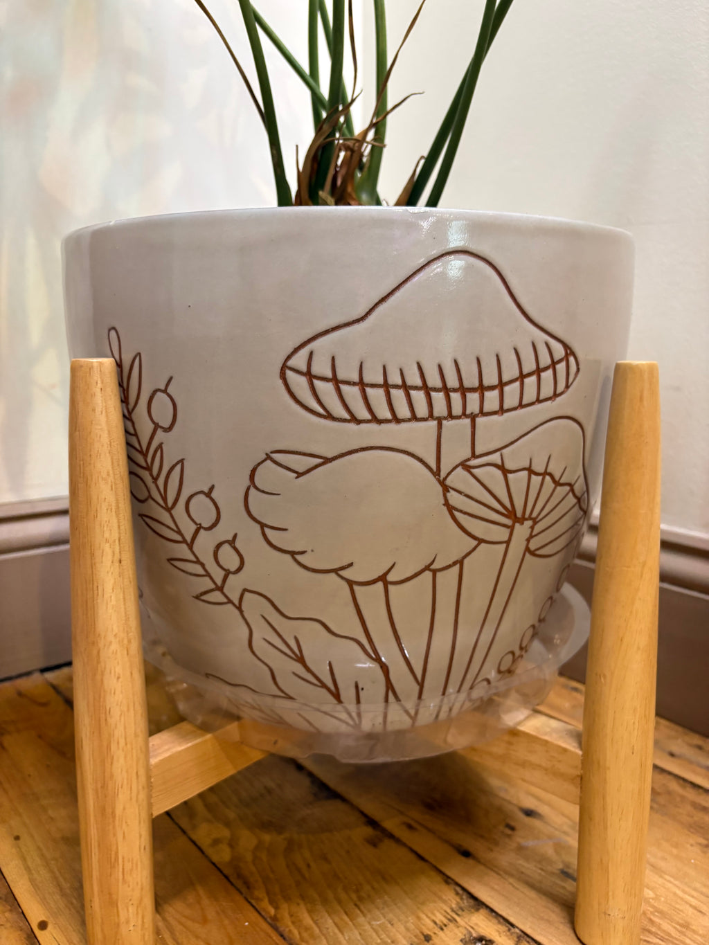 🌿Lady Fingers (Anthurium pedatoradiatum) 10in Ceramic Pot w/ Stand🌿