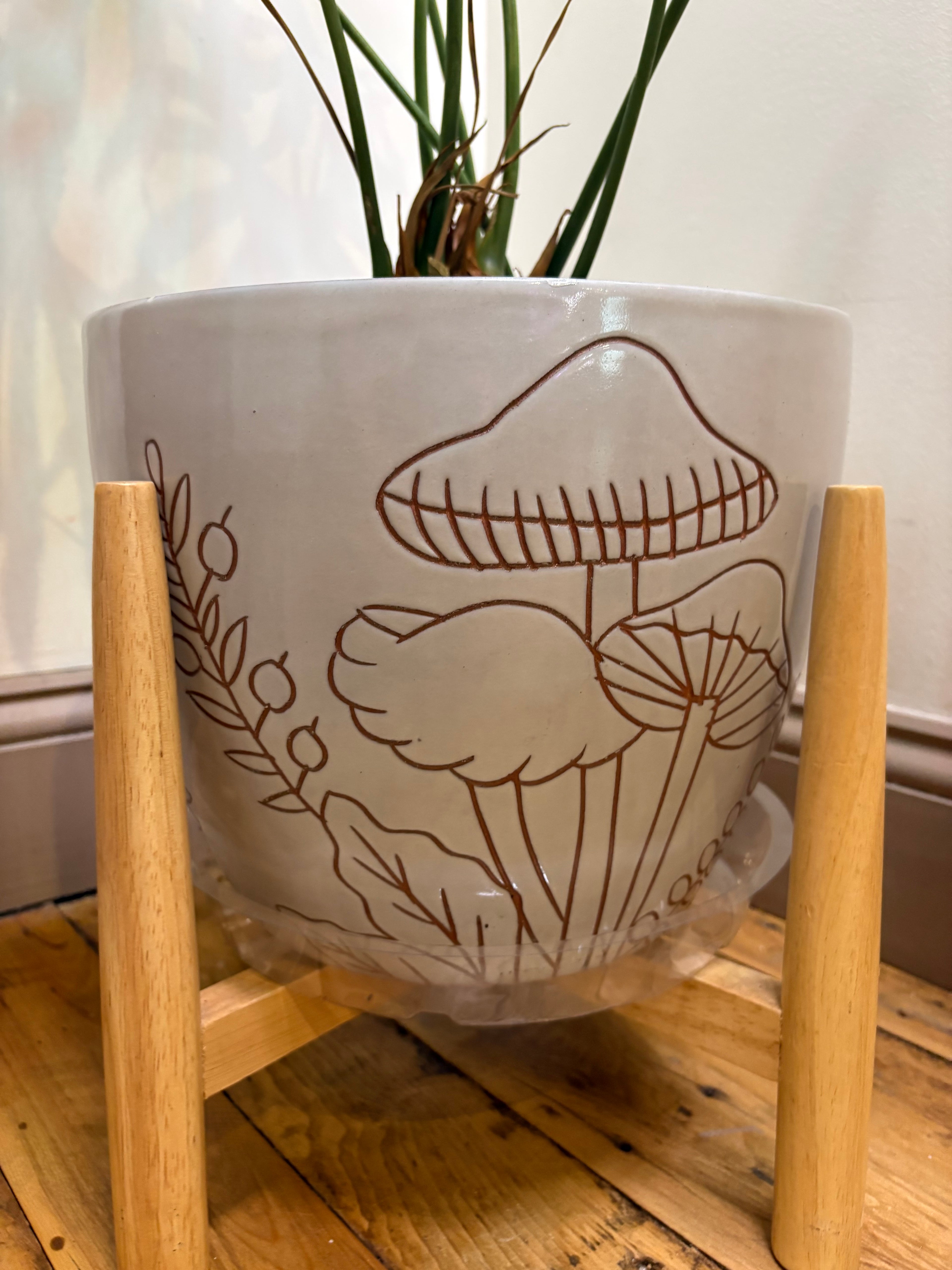 🌿Lady Fingers (Anthurium pedatoradiatum) 10in Ceramic Pot w/ Stand🌿