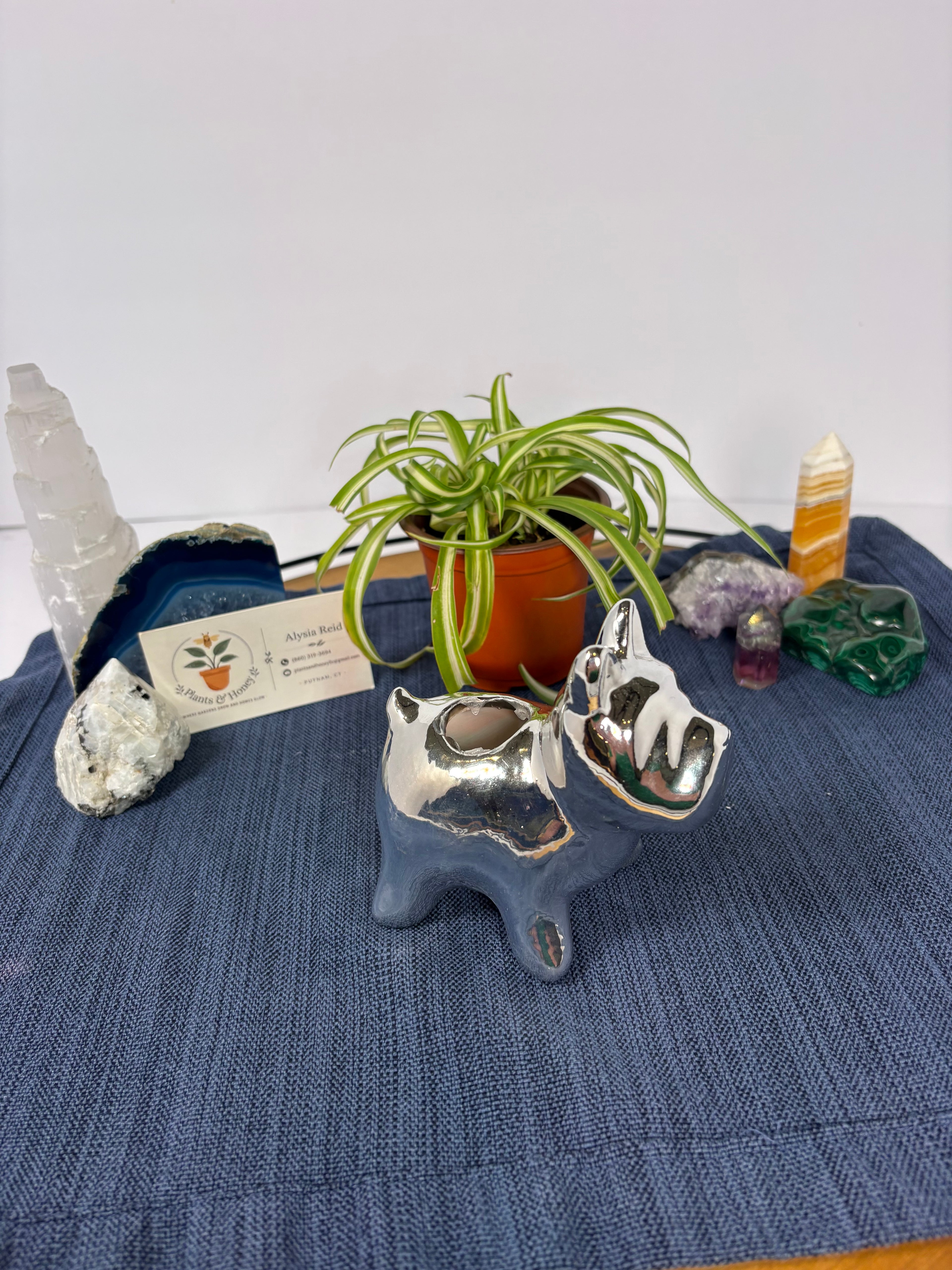 🪴Silver Puppy Air Plant Holder🪴