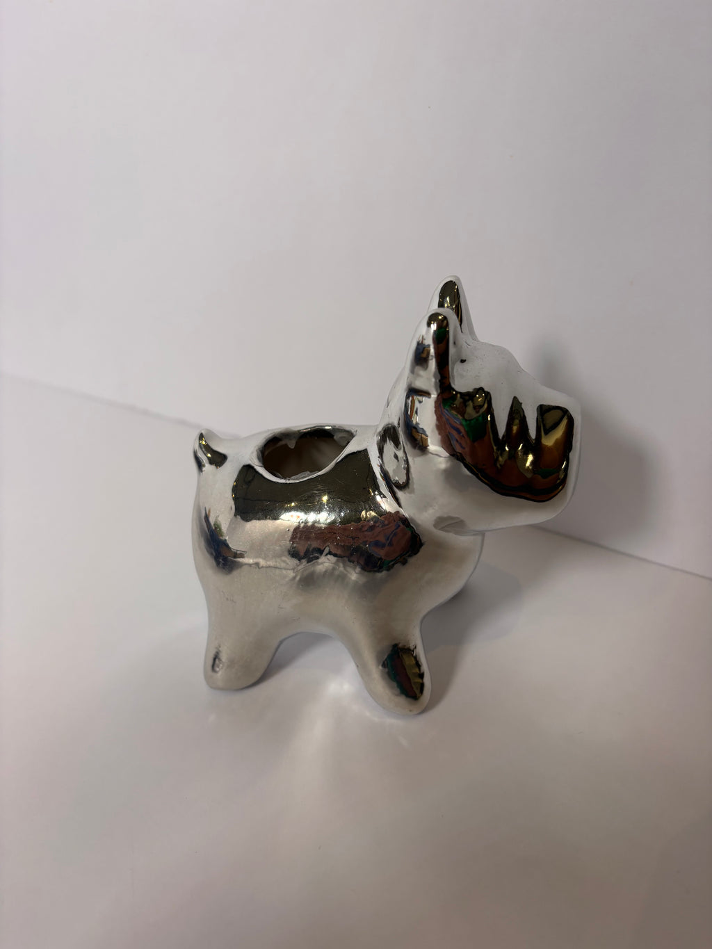 🪴Silver Puppy Air Plant Holder🪴