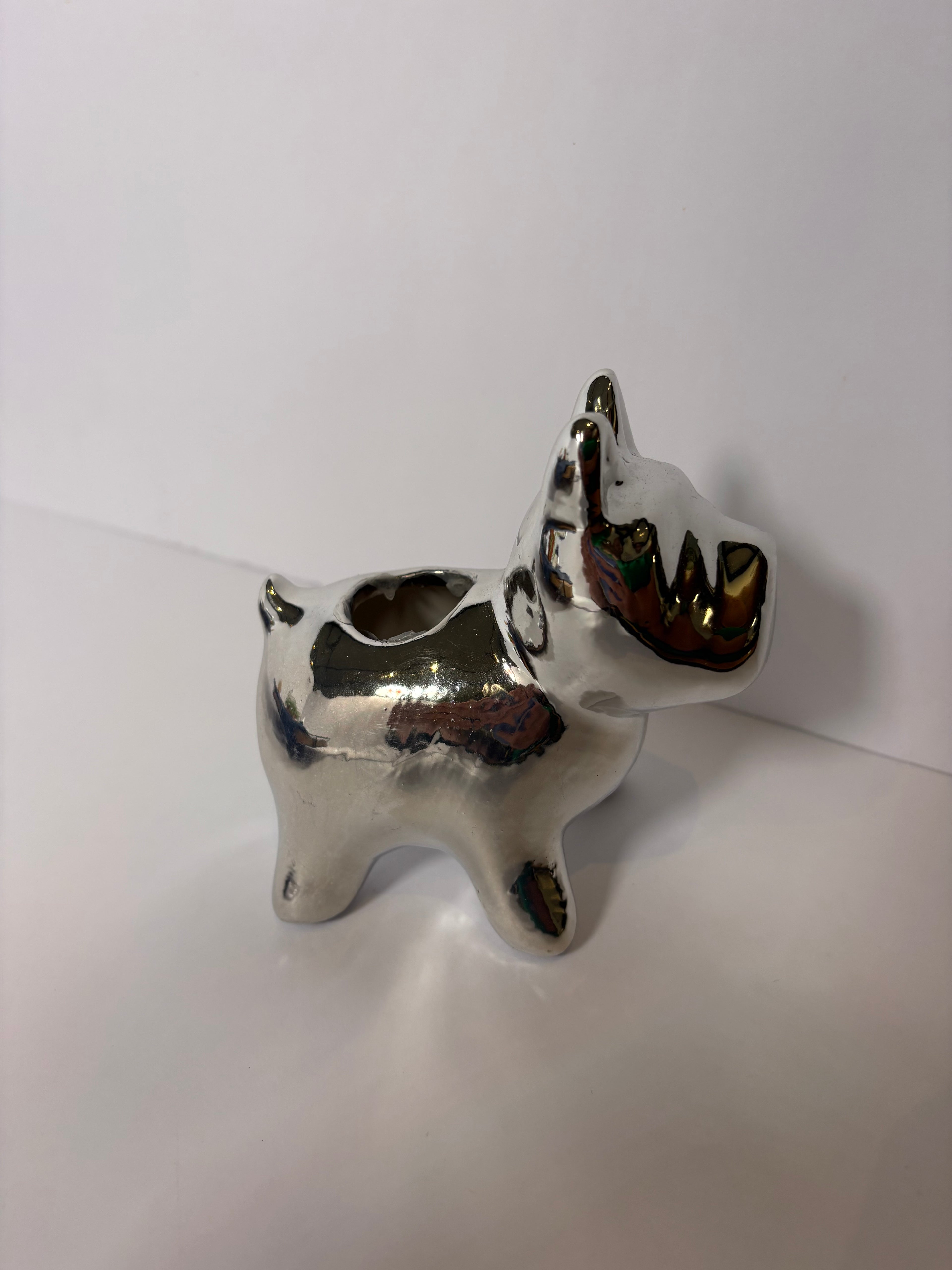 🪴Silver Puppy Air Plant Holder🪴