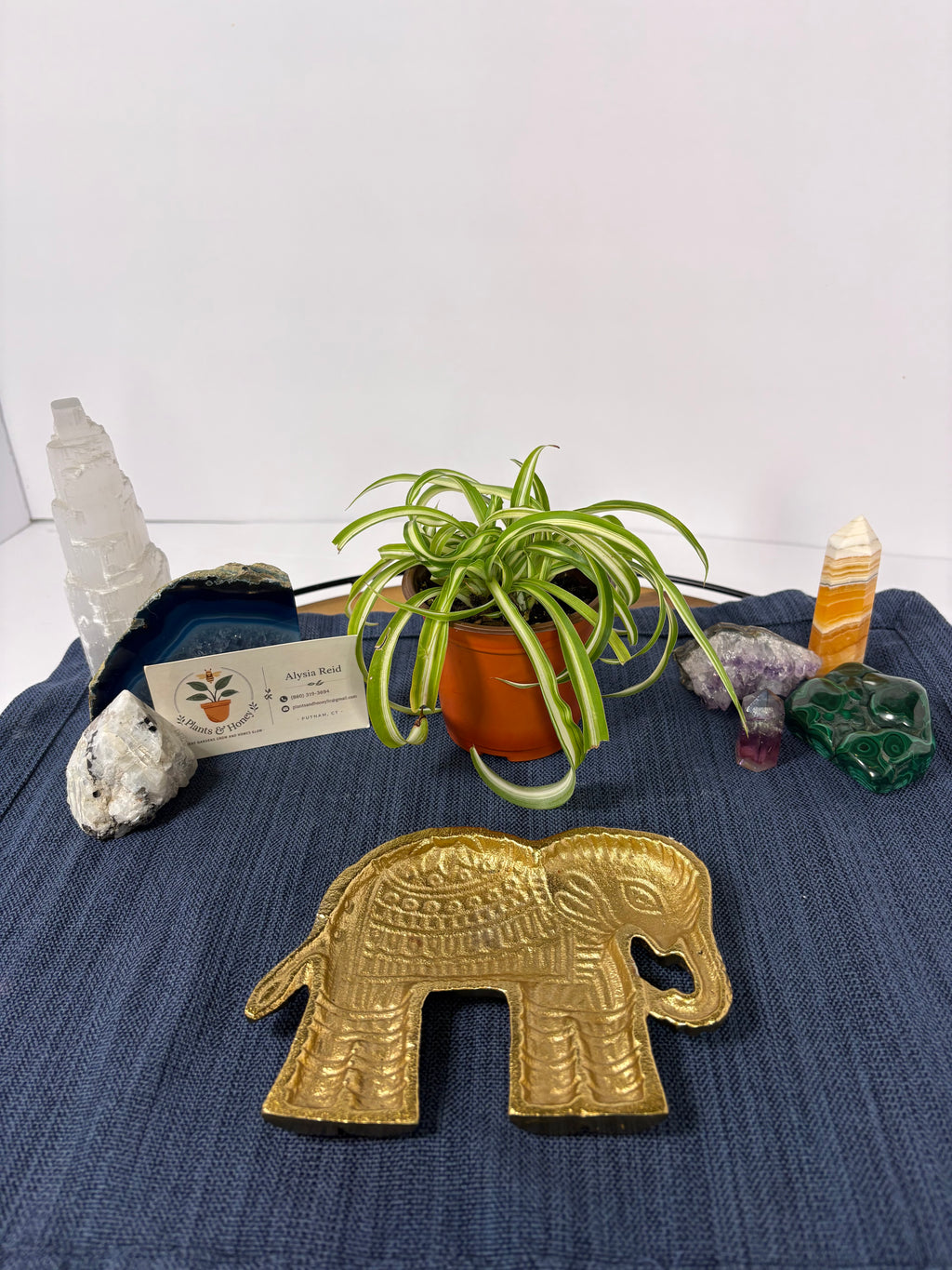 🐘Elephant Trinket Dish🐘