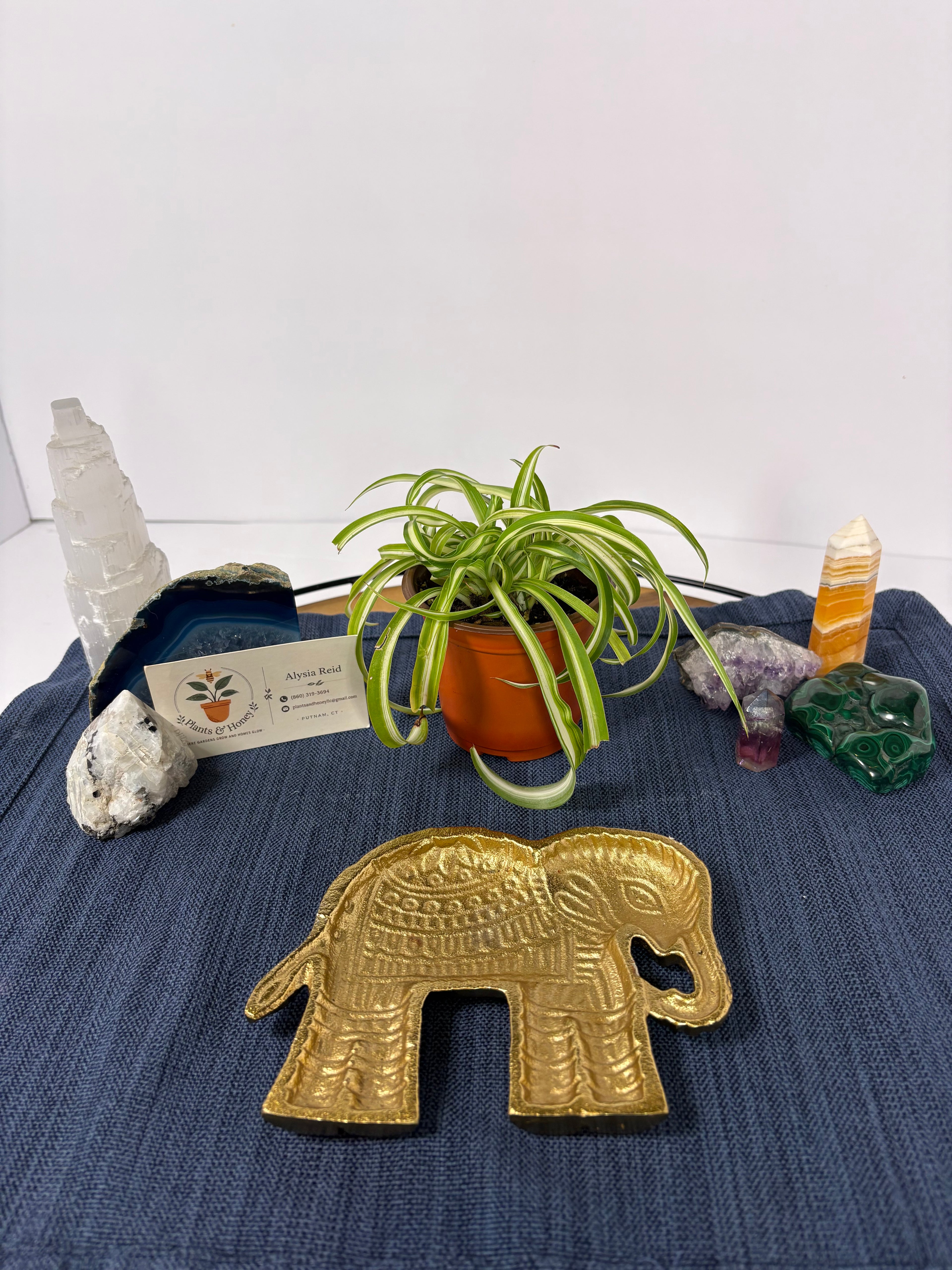 🐘Elephant Trinket Dish🐘