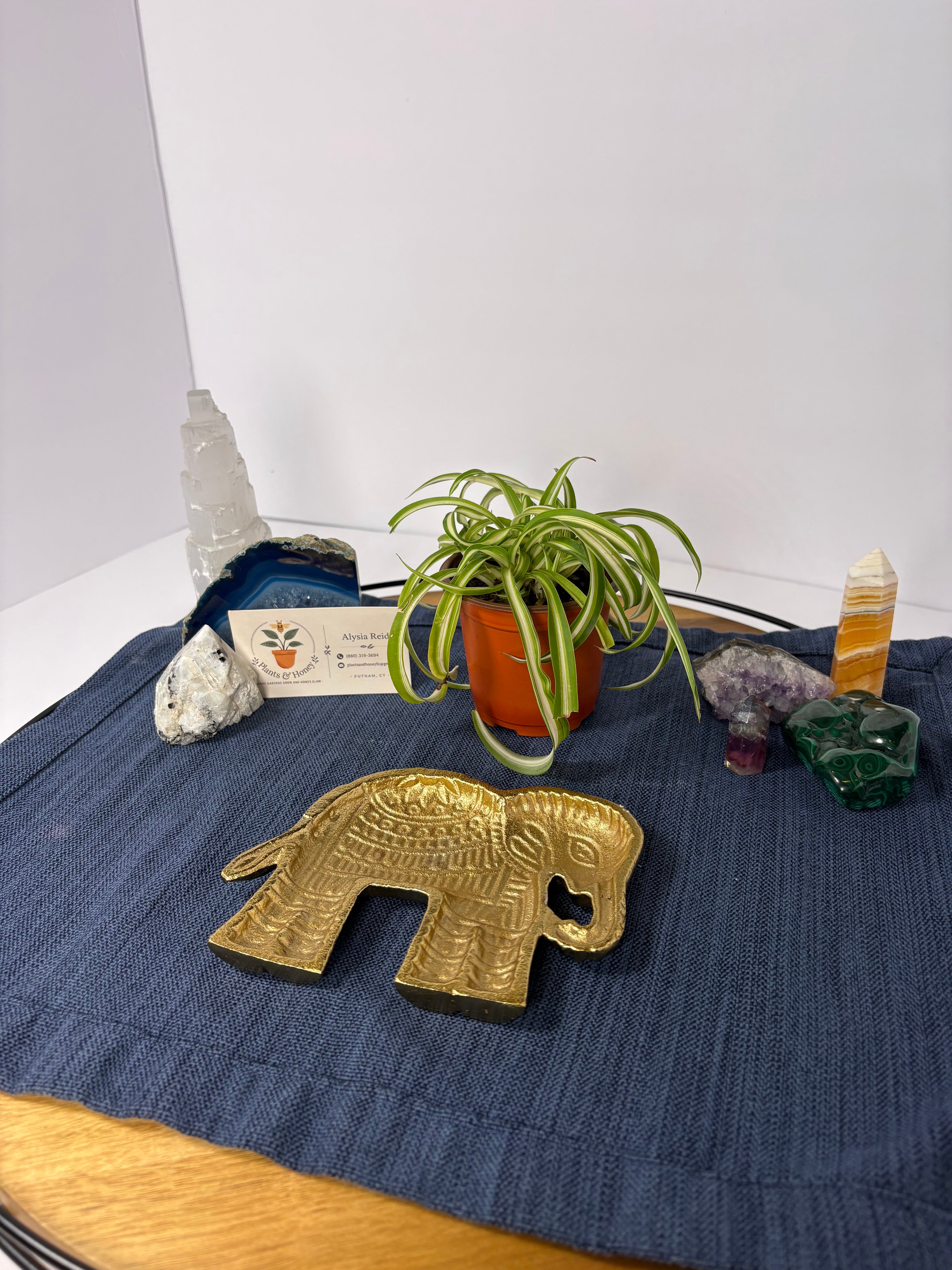 🐘Elephant Trinket Dish🐘