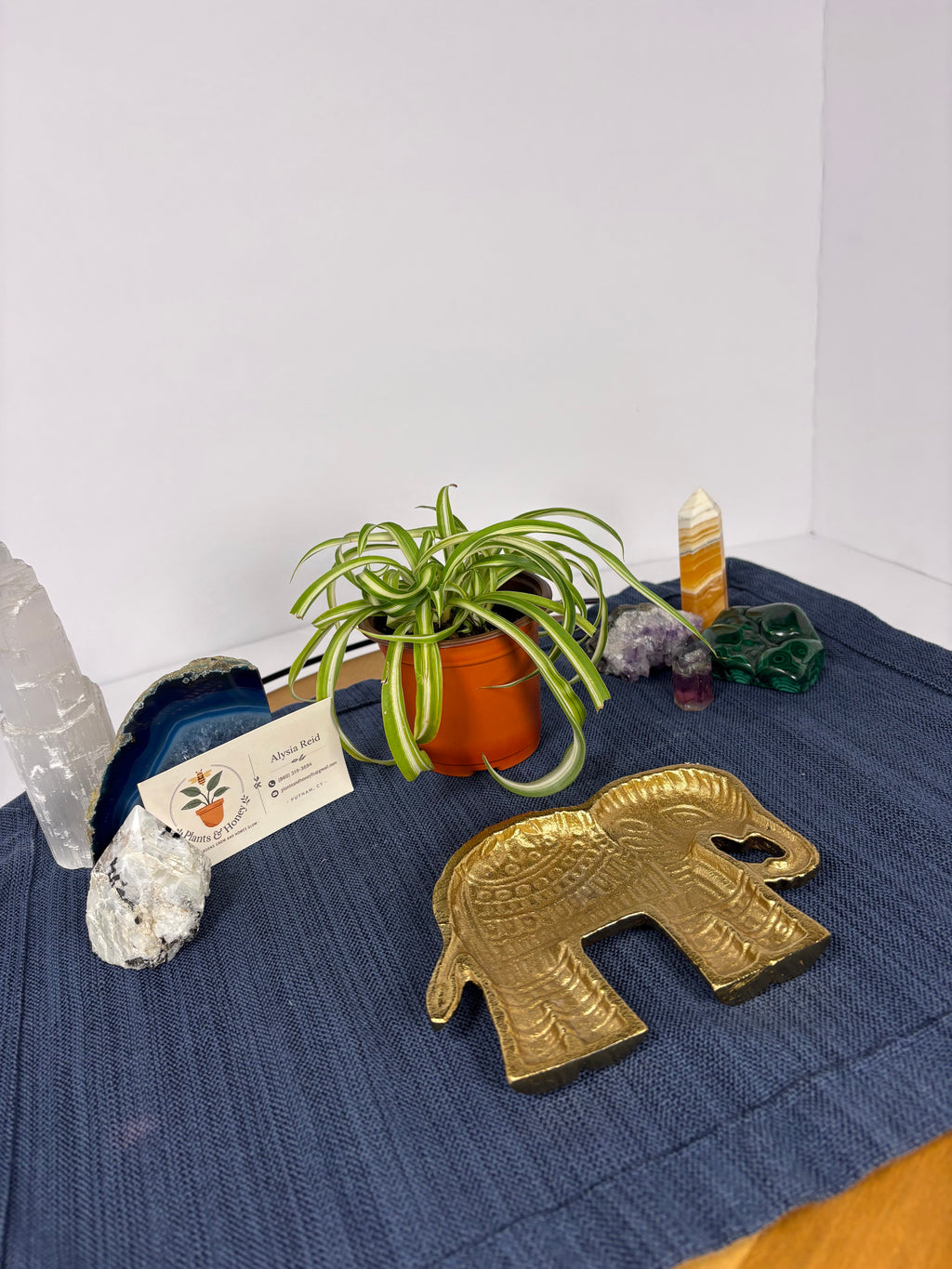 🐘Elephant Trinket Dish🐘