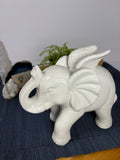 🐘Sage Brook Home White Elephant🐘