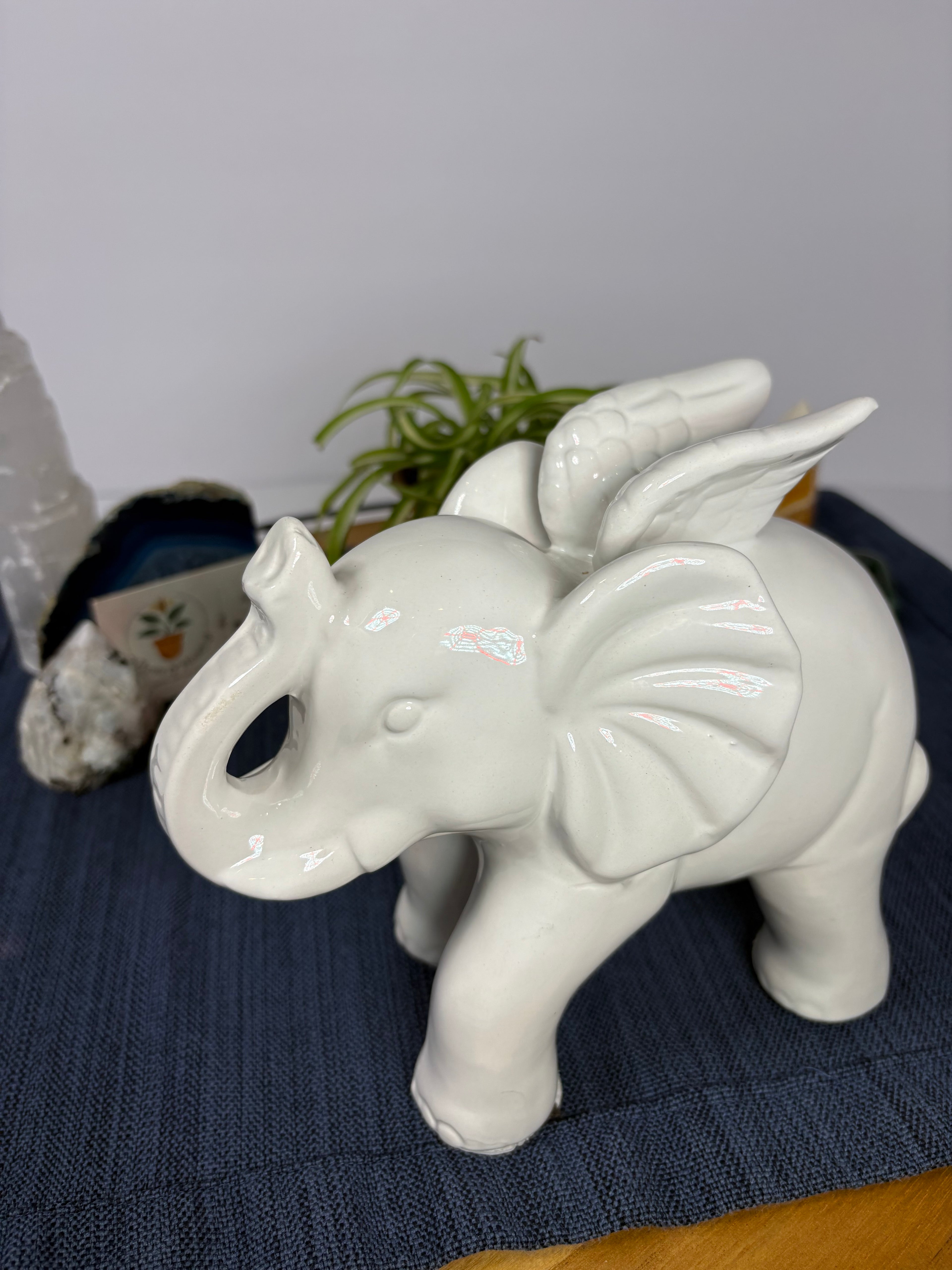 🐘Sage Brook Home White Elephant🐘