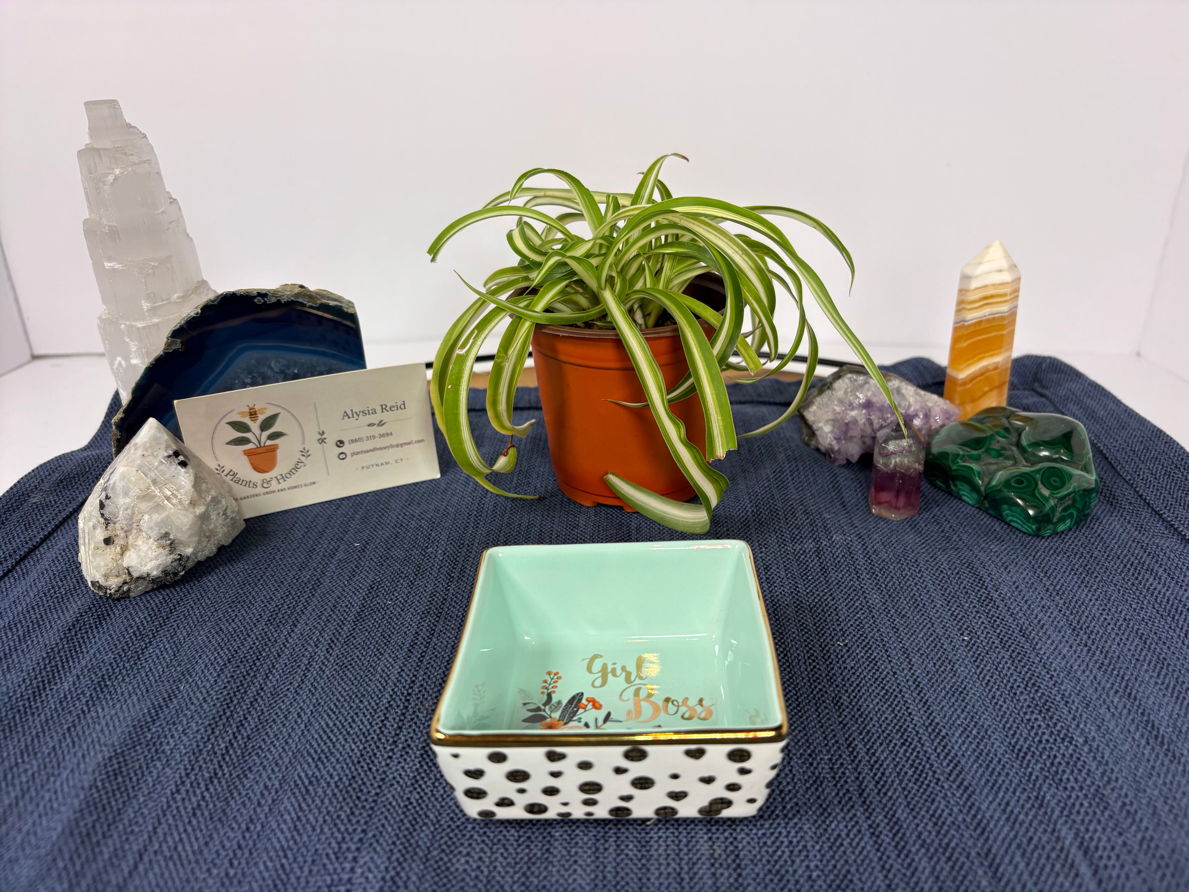✨Trinket Dish✨