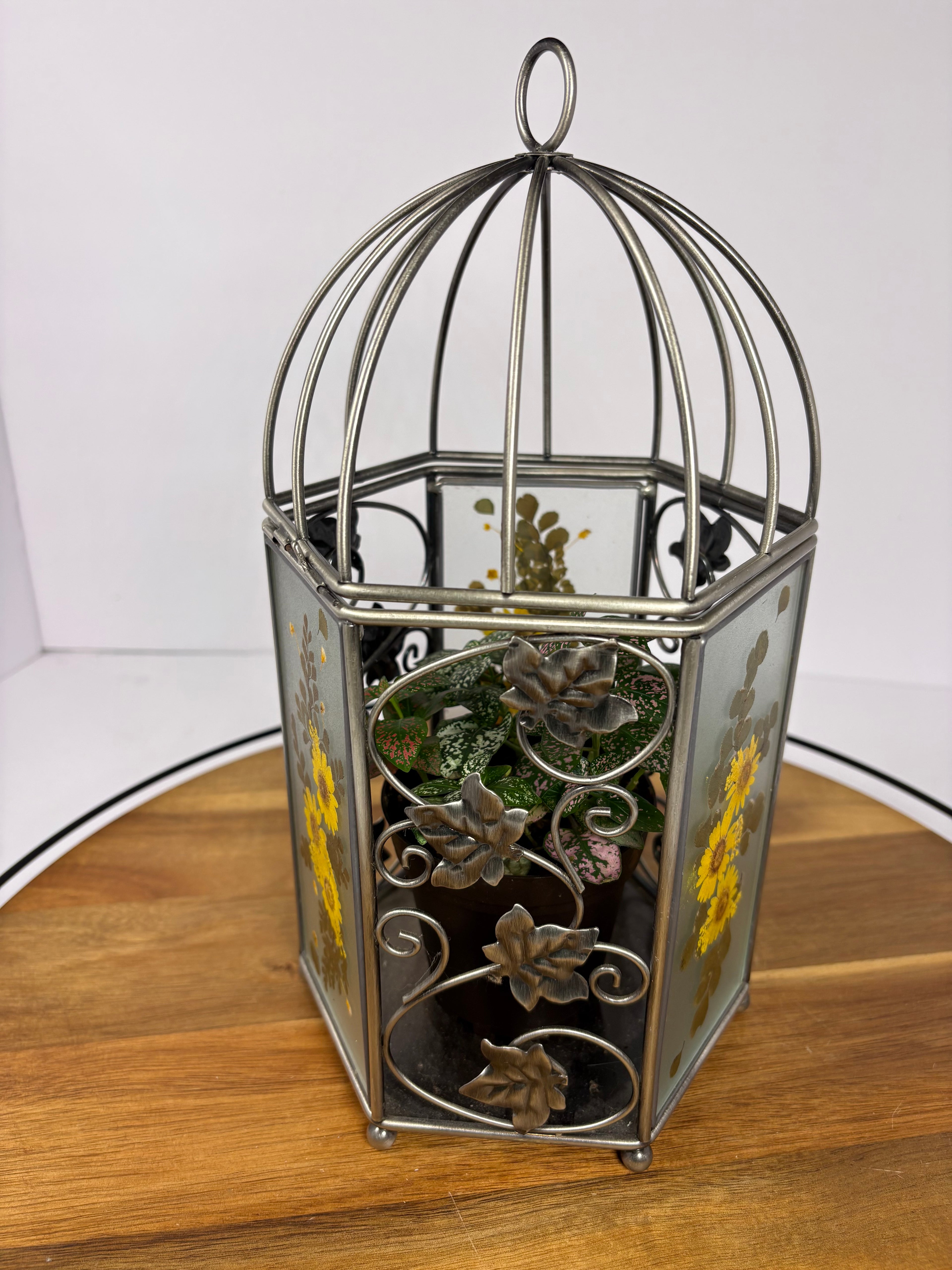 🌿Floral Birdcage with Polka Dot Plant🌿