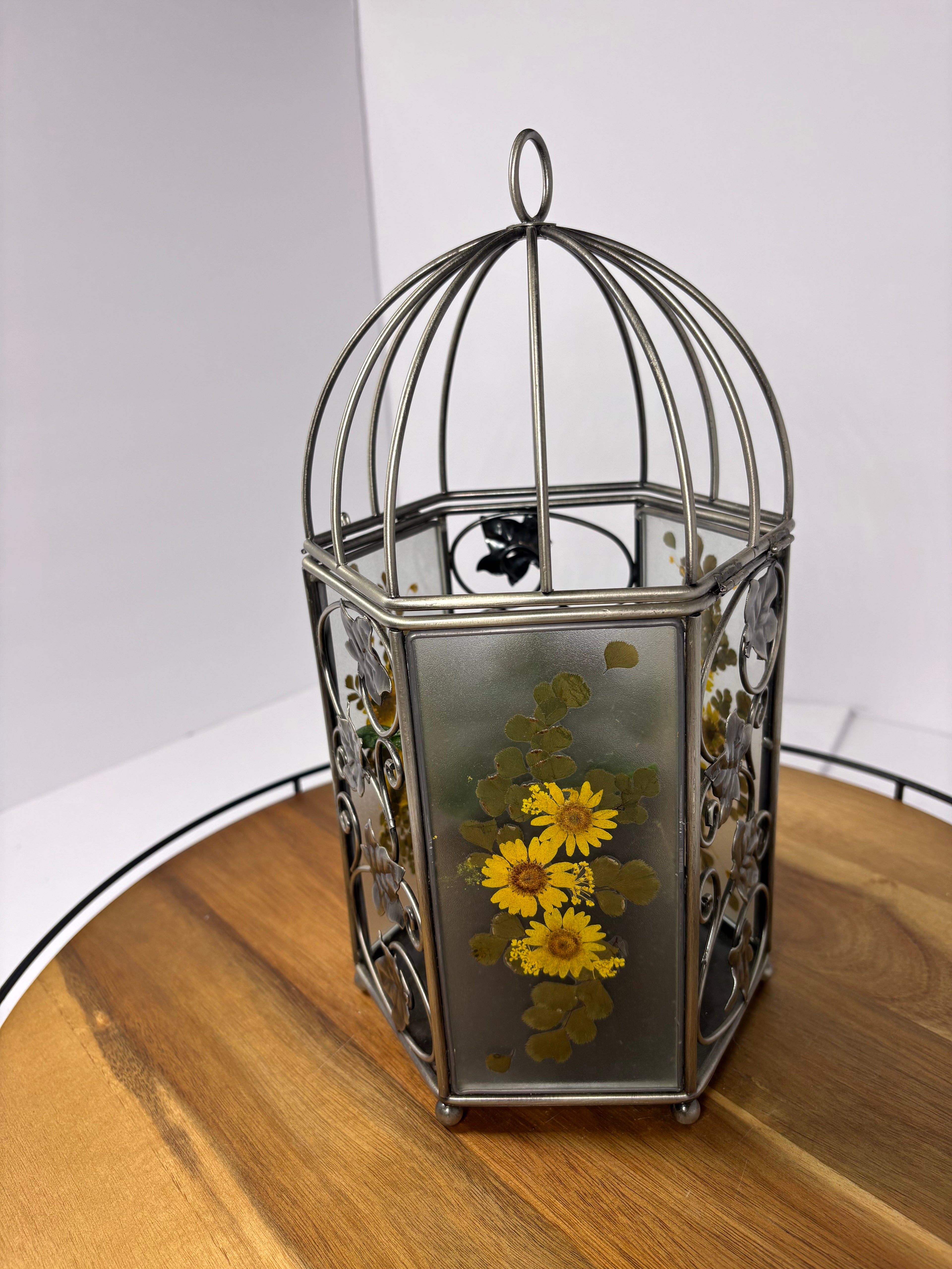 🌿Floral Birdcage with Polka Dot Plant🌿
