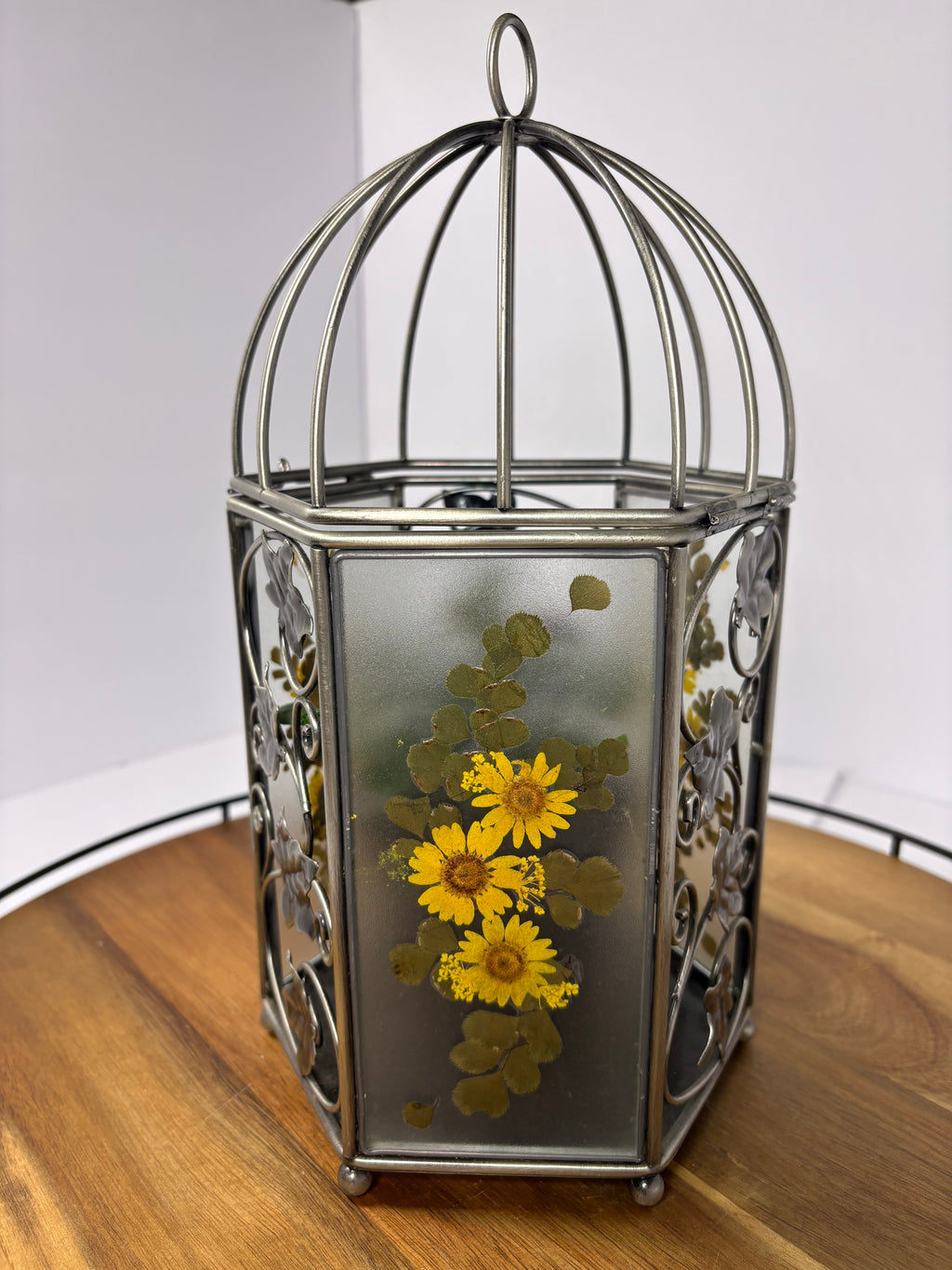 🌿Floral Birdcage with Polka Dot Plant🌿