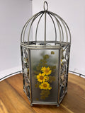 🌿Floral Birdcage with Polka Dot Plant🌿