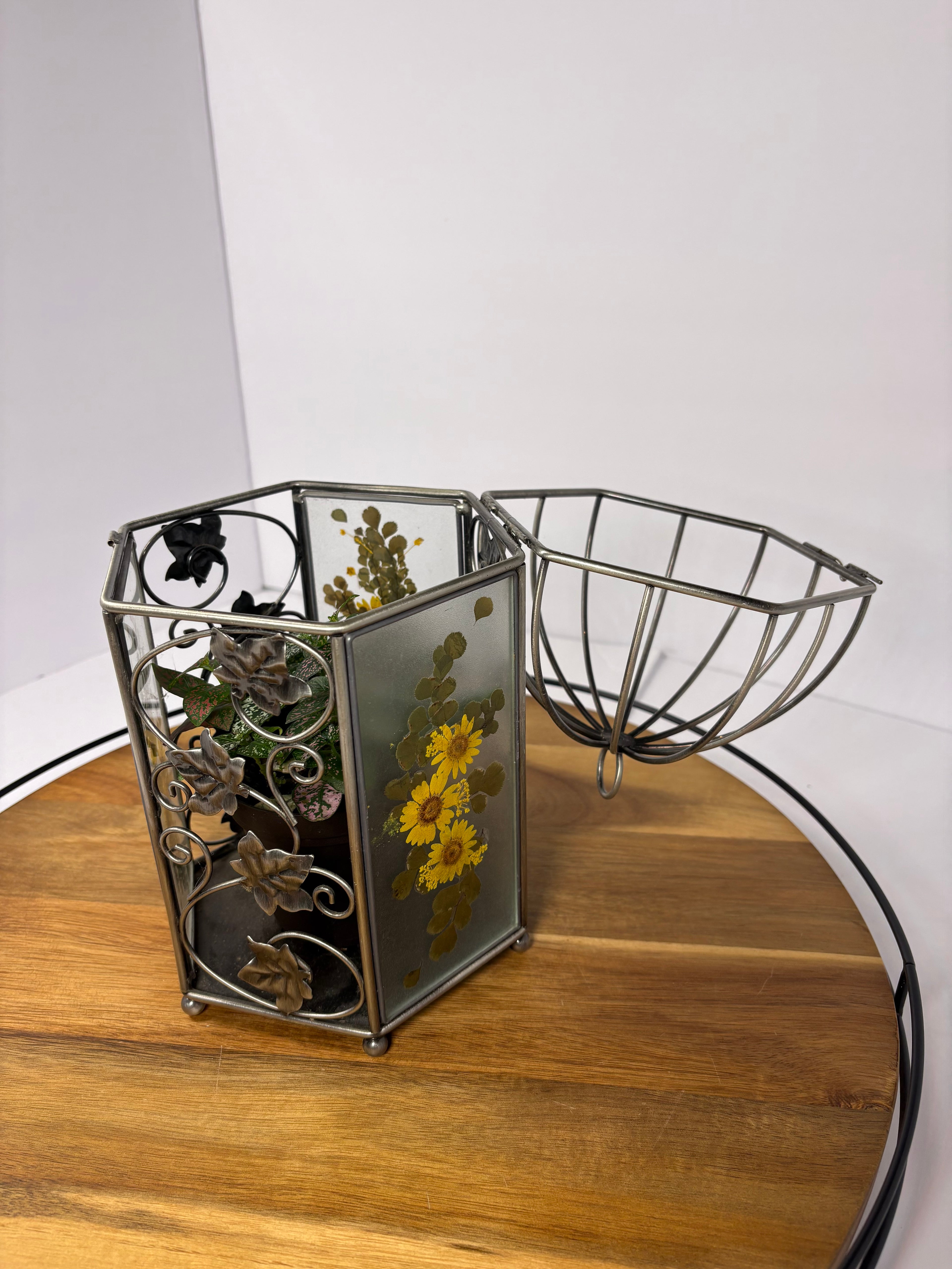 🌿Floral Birdcage with Polka Dot Plant🌿