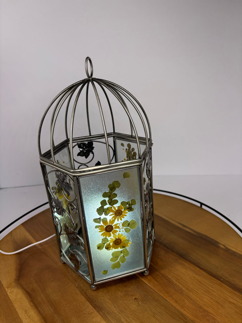 🌿Floral Birdcage with Polka Dot Plant🌿