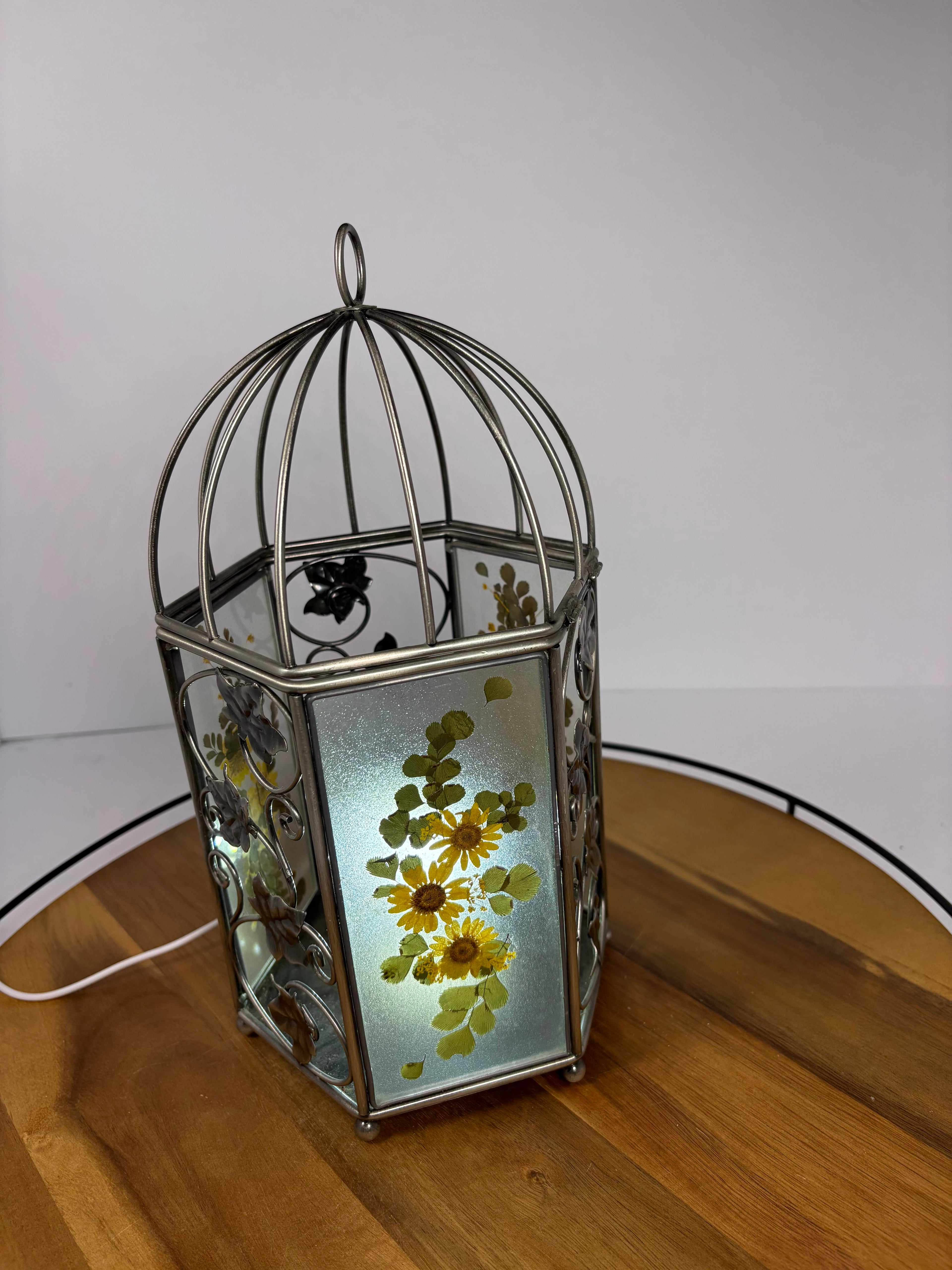 🌿Floral Birdcage with Polka Dot Plant🌿