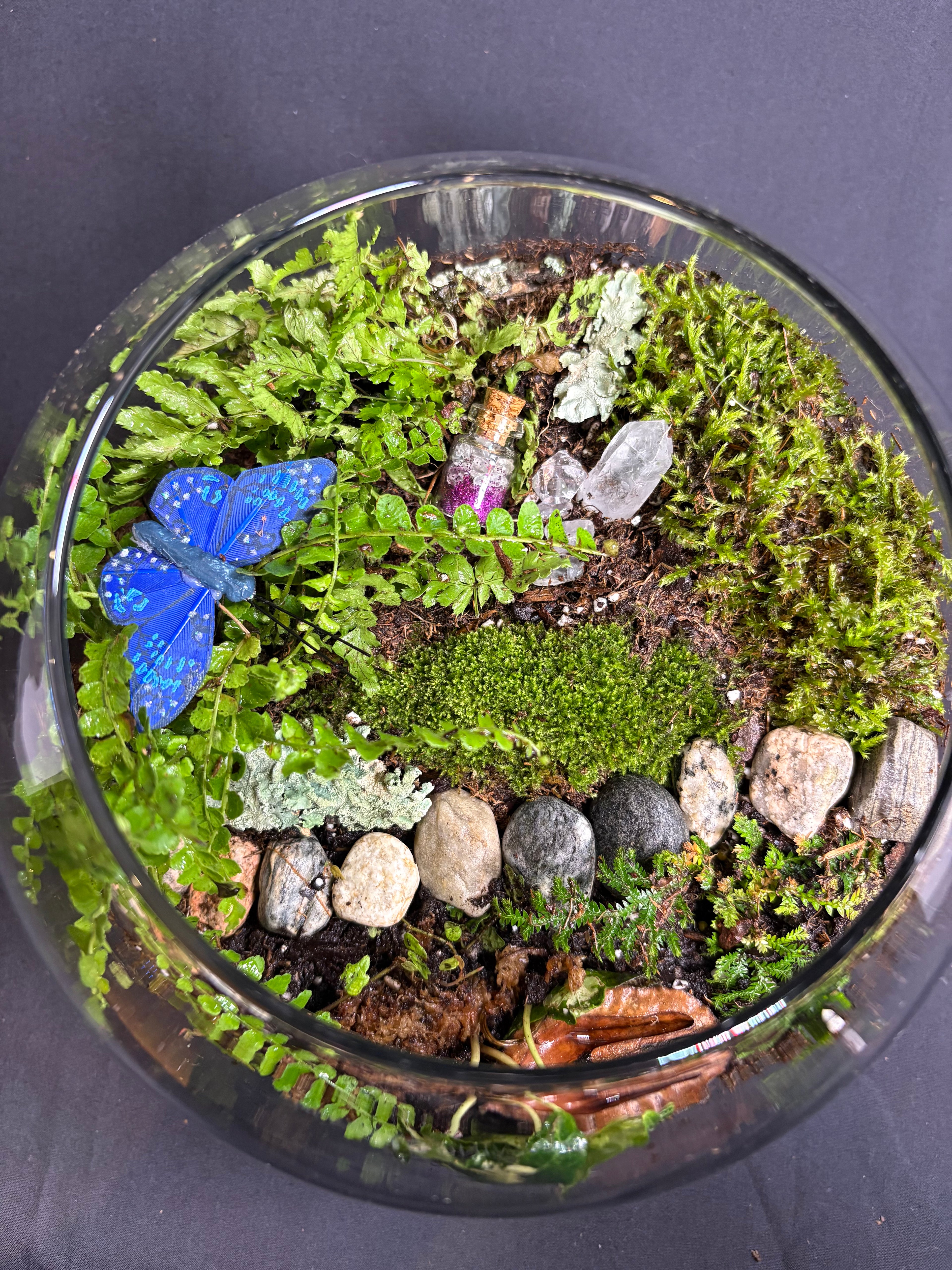 🔮 Magic Garden Terrarium 🔮
