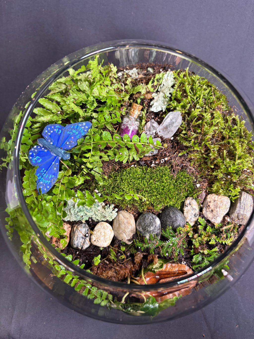 🔮 Magic Garden Terrarium 🔮
