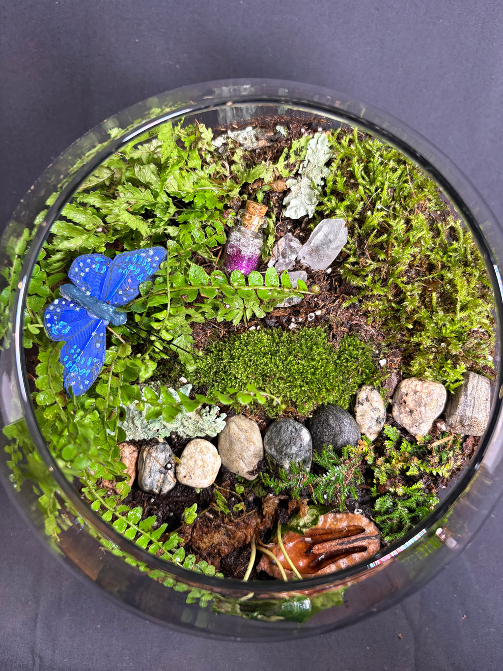 🔮 Magic Garden Terrarium 🔮