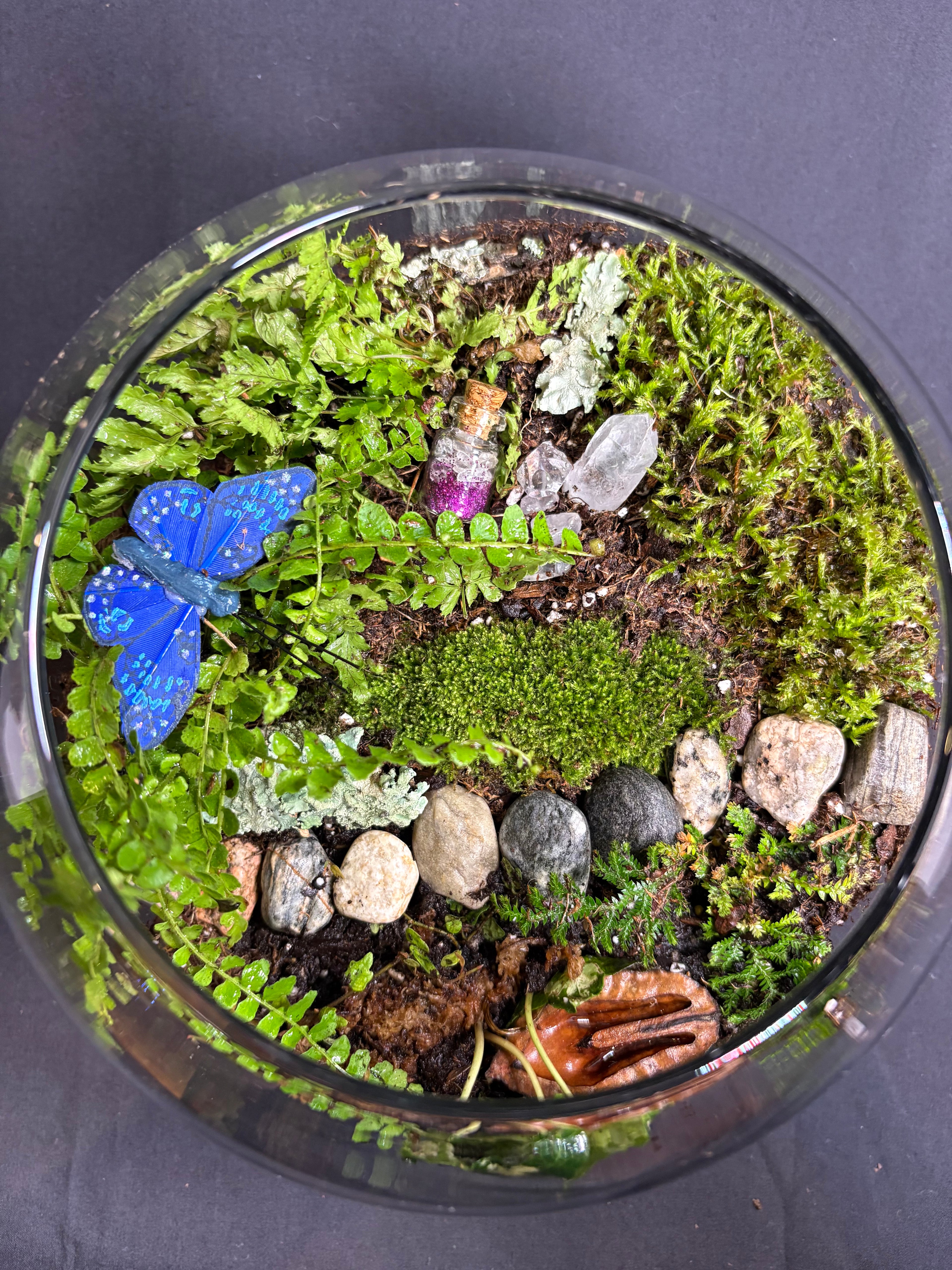 🔮 Magic Garden Terrarium 🔮
