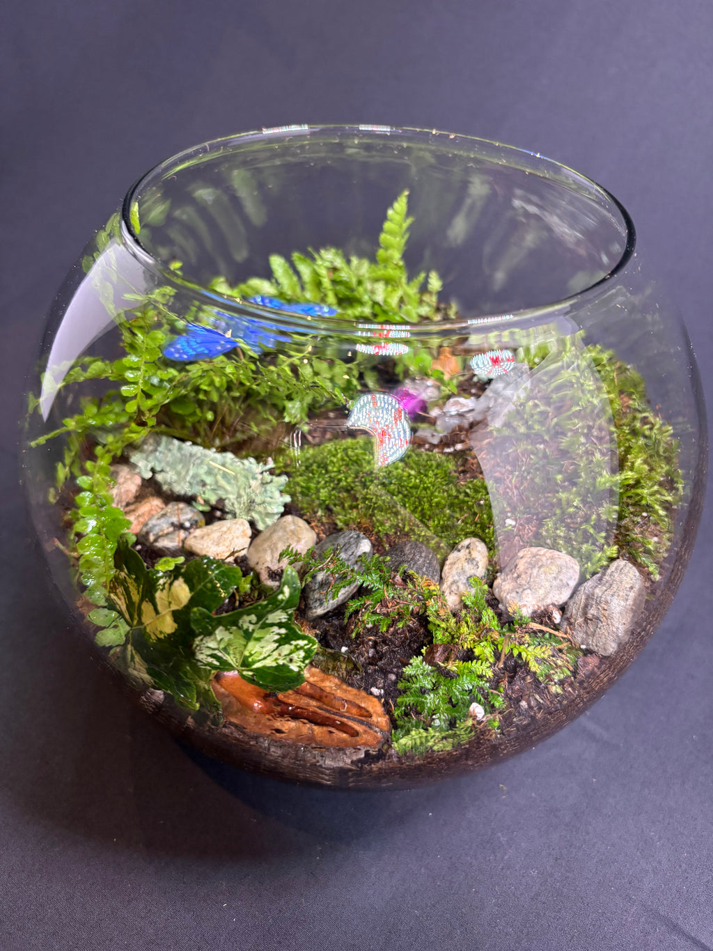 🔮 Magic Garden Terrarium 🔮