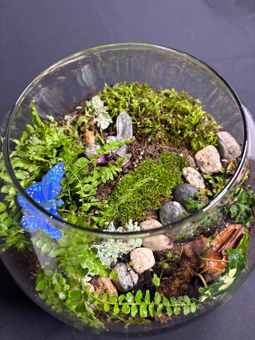 🔮 Magic Garden Terrarium 🔮