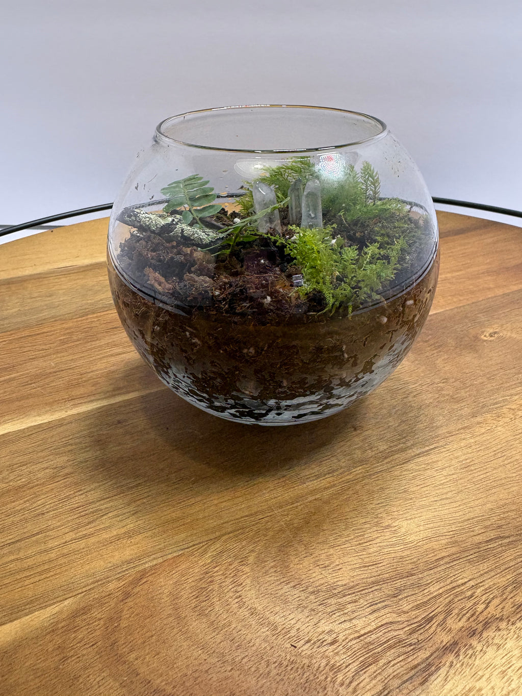 🌿✨ Handcrafted Globe Terrarium "Tiny Forest in Glass" ✨🌿