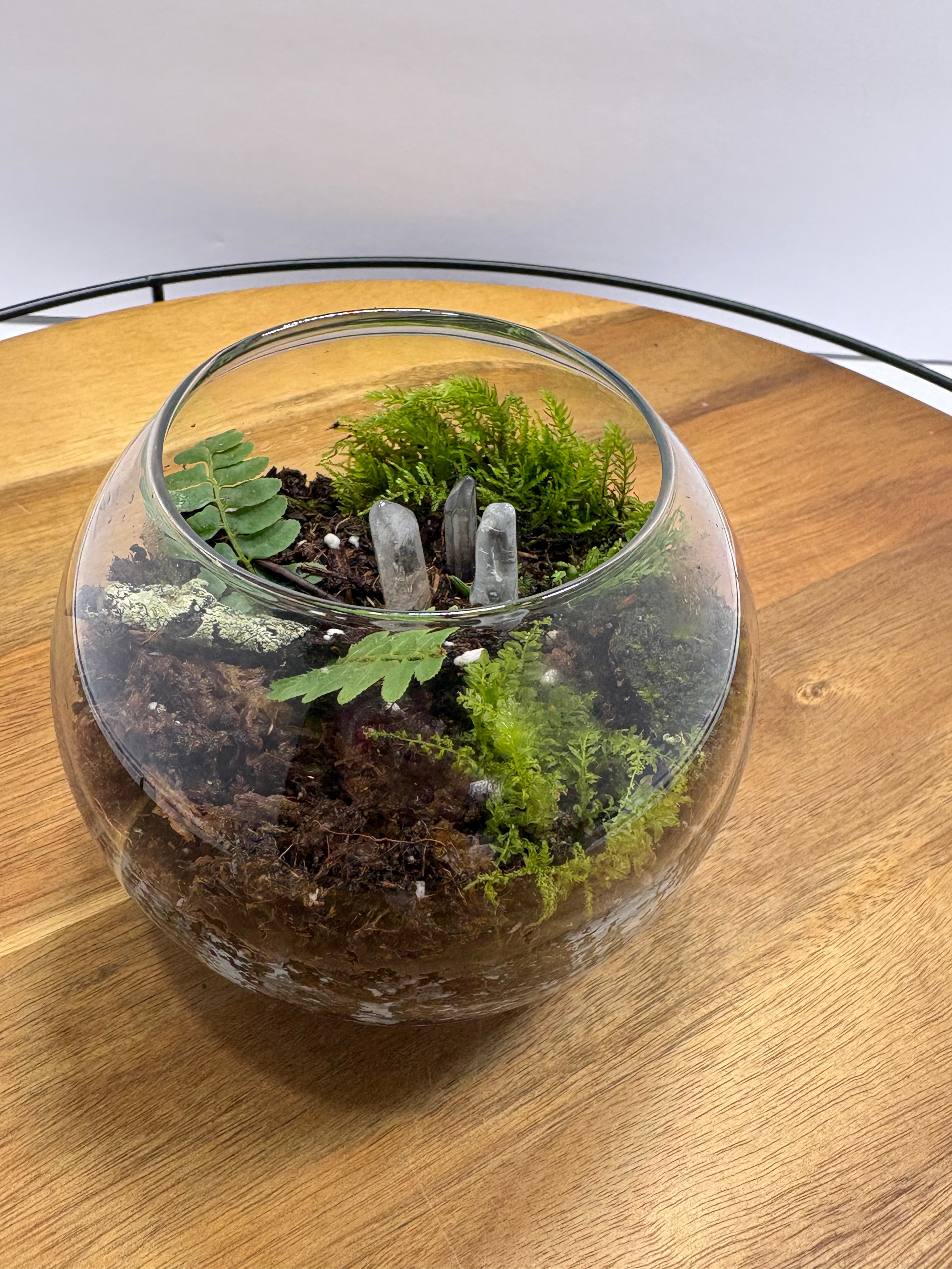 🌿✨ Handcrafted Globe Terrarium "Tiny Forest in Glass" ✨🌿