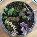 🌿 Eternal Terrarium – Handcrafted Living Ecosystem 🌿