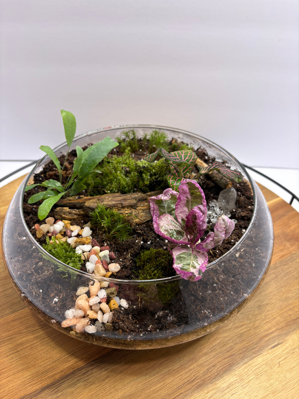 🌿 Eternal Terrarium – Handcrafted Living Ecosystem 🌿