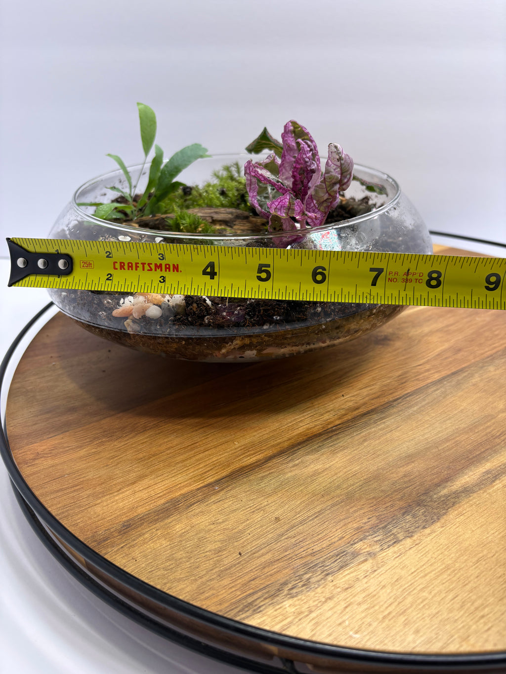 🌿 Eternal Terrarium – Handcrafted Living Ecosystem 🌿