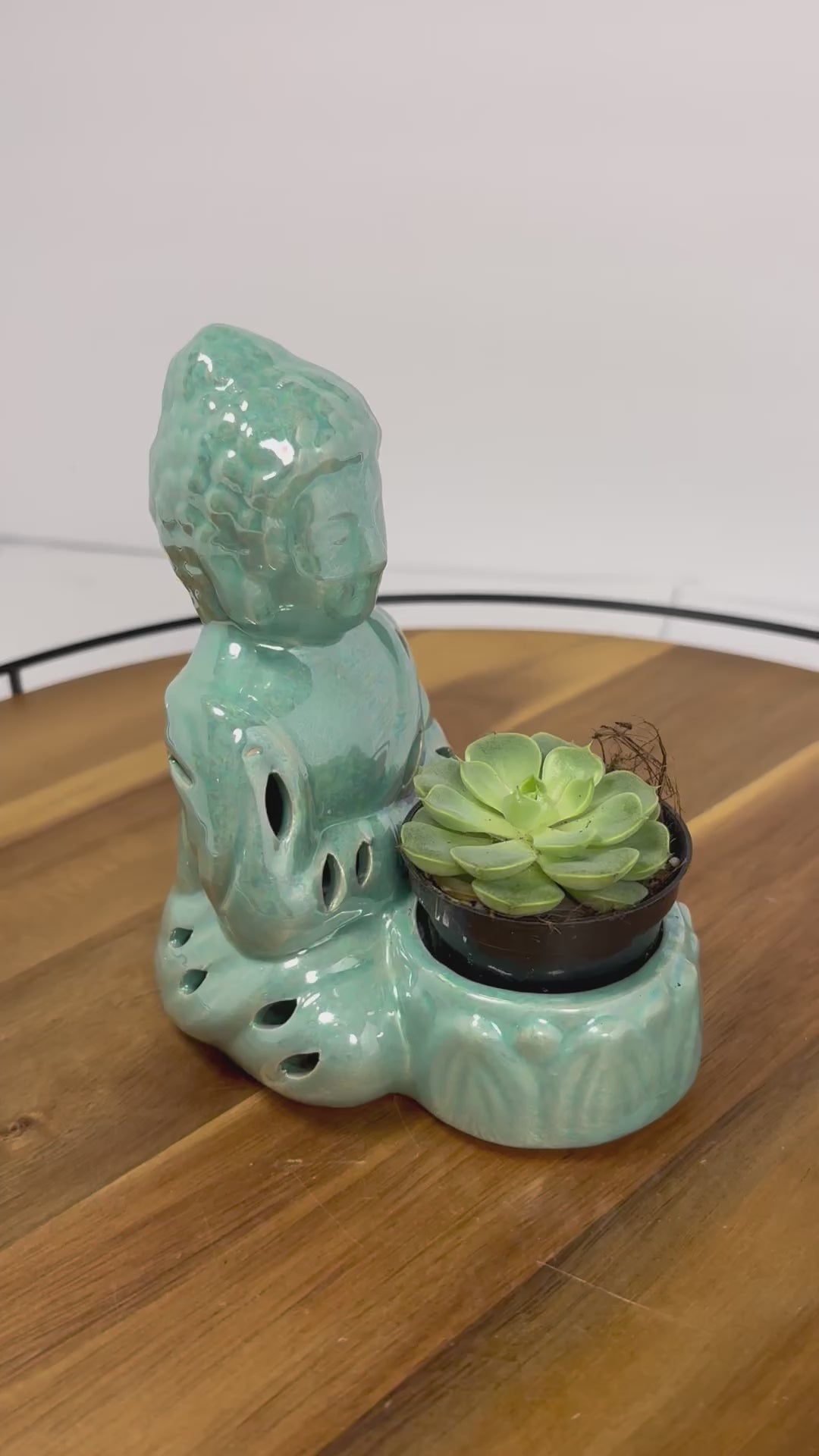 🌿Buddha Statues with Live Succulent🌿